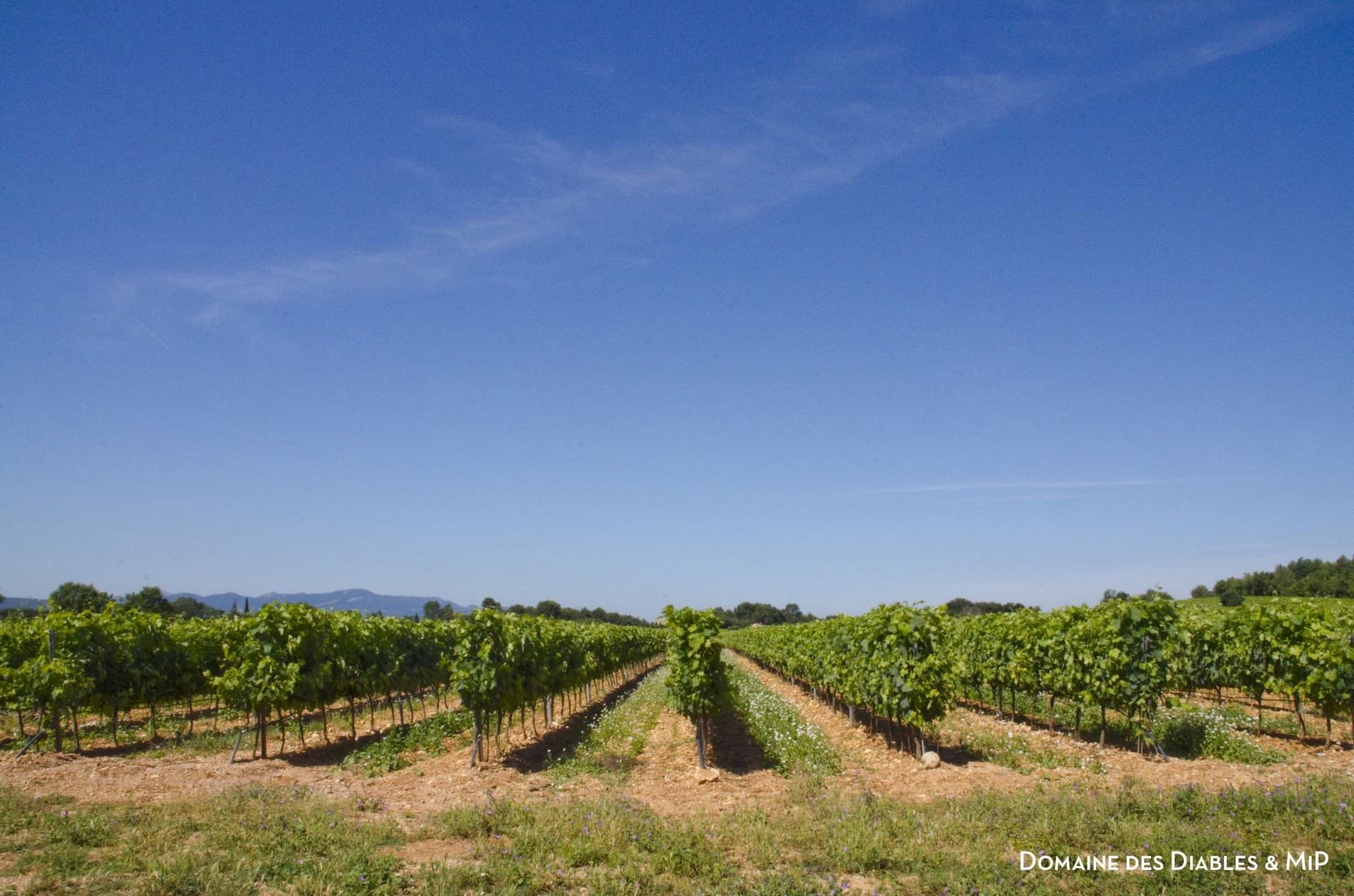 Domaine des Diables