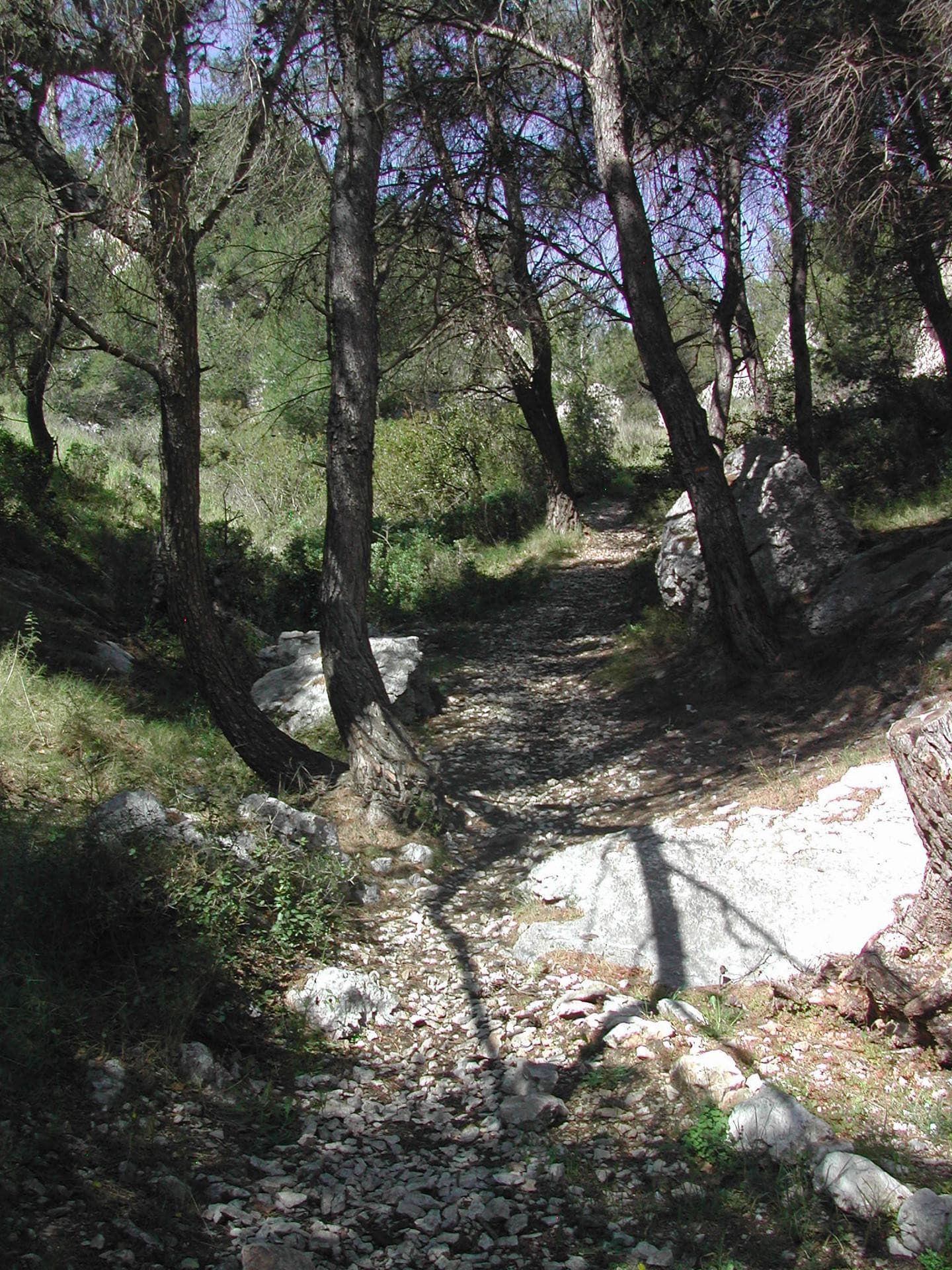 13T2001662_1_HD.jpg