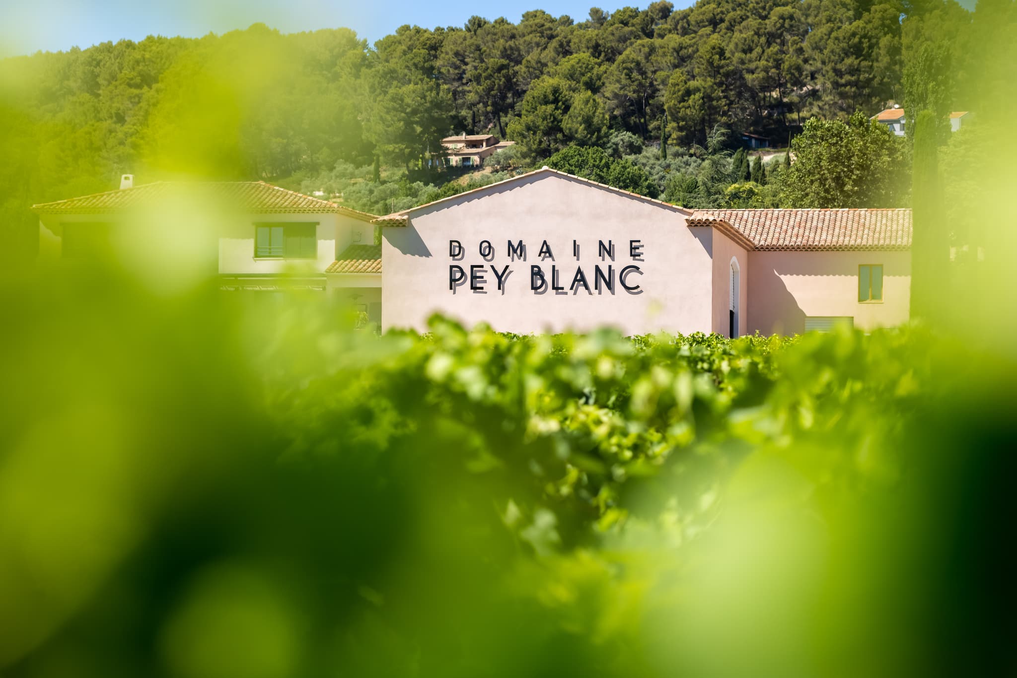 Domaine Pey Blanc