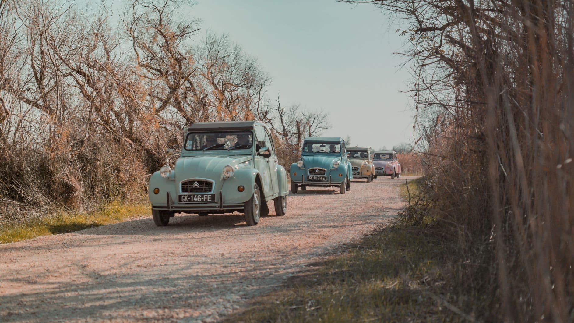 Camargue Safari Tours