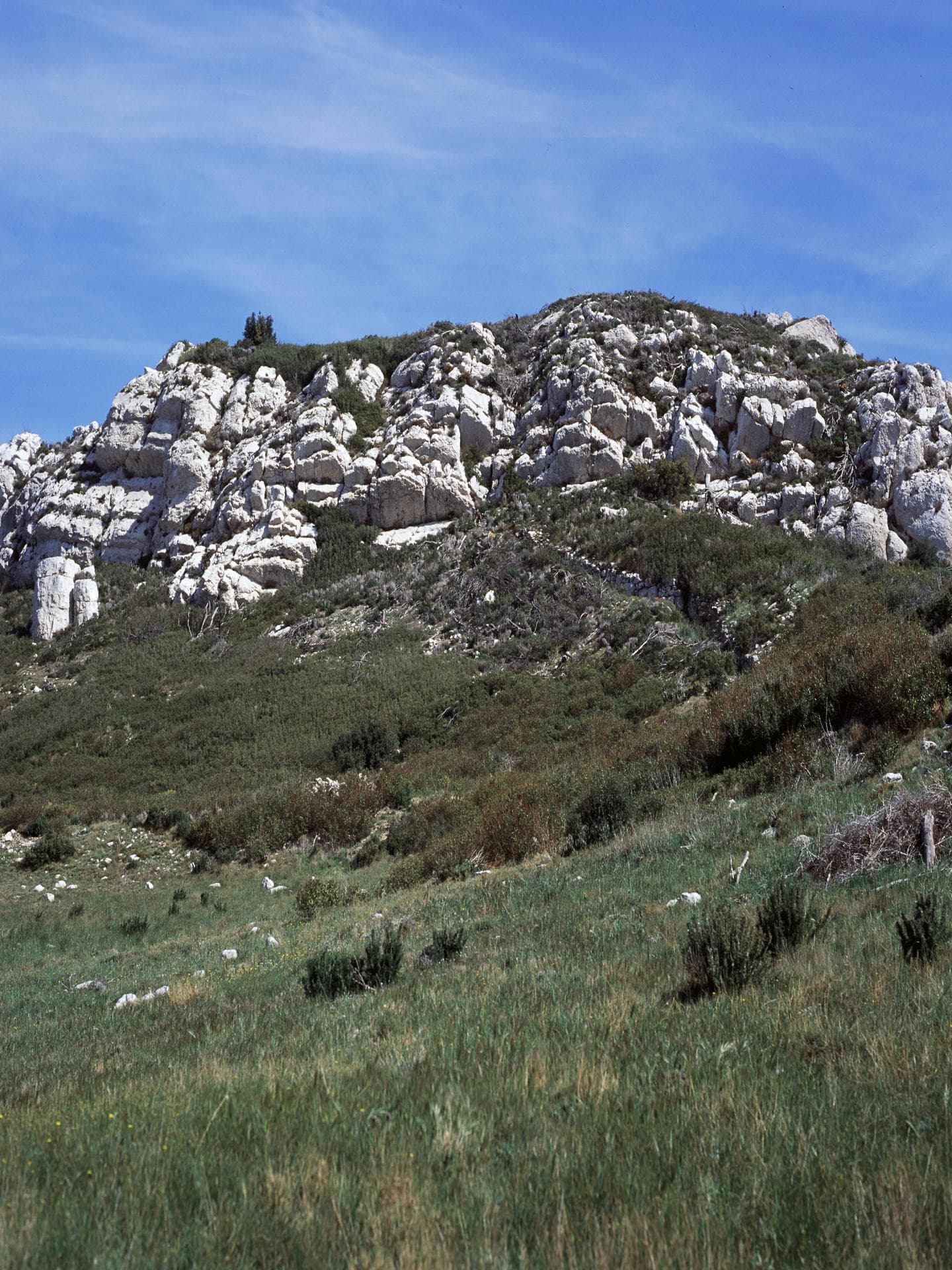 13SI000148_1_HD.jpg