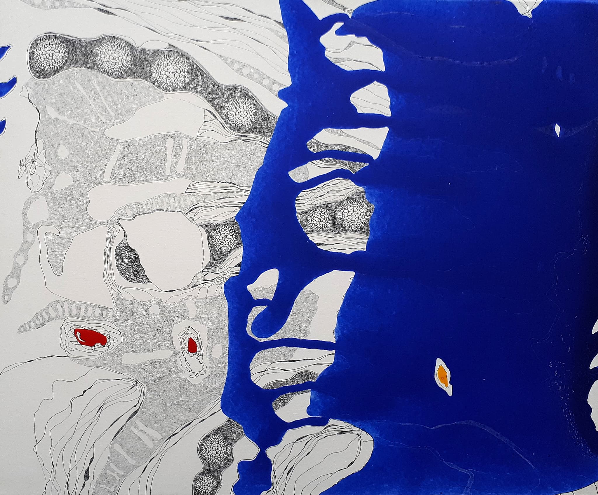 Exposition Didier Le Gleuher … et Bleu_Les Baux-de-Provence