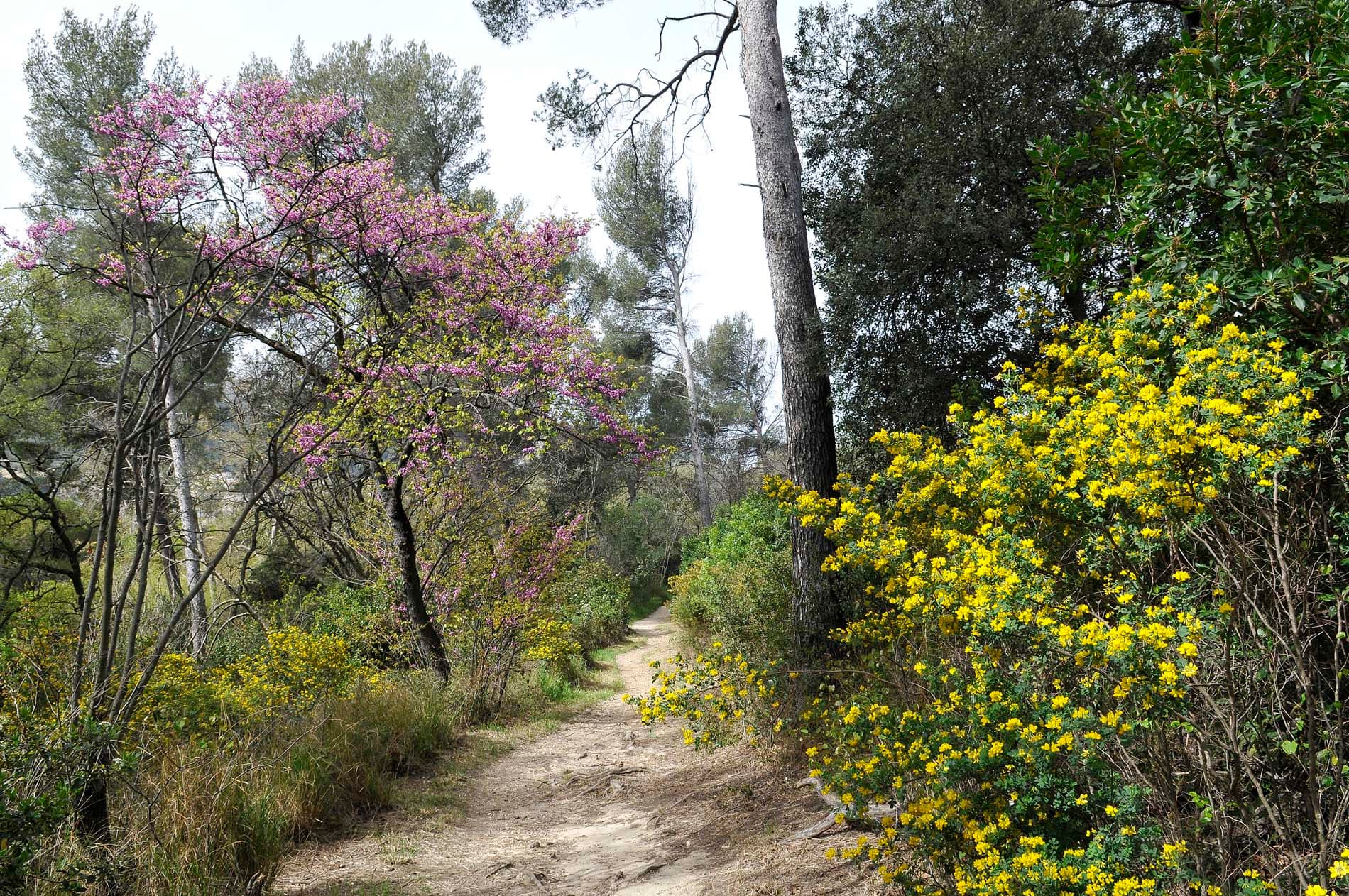 Parc des 7 collines - Ville de Marseille
