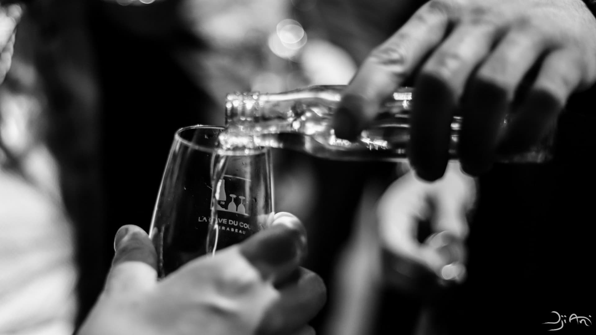 Dégustation de vins de Provence et de fromage_Aix-en-Provence