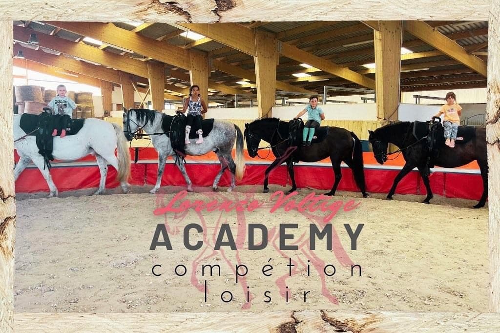 Lorenzo Voltige Academy