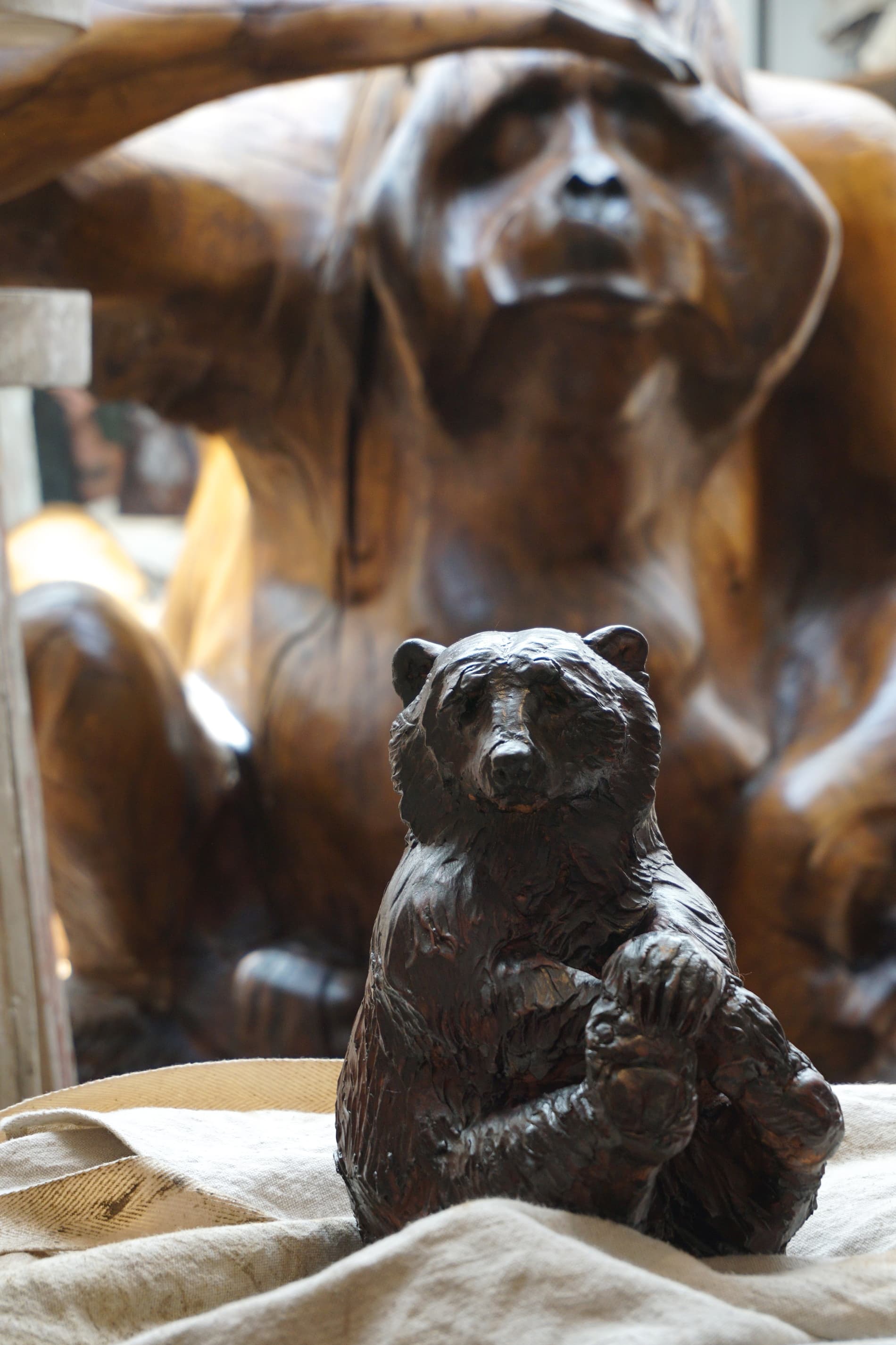 Ours en terre