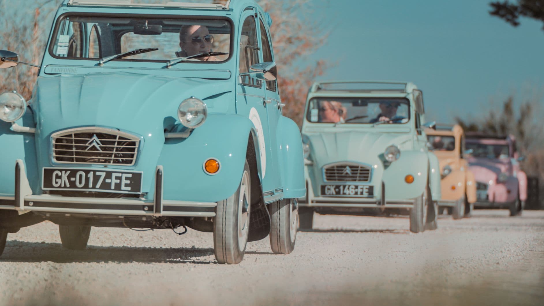 Camargue Safari Tours
