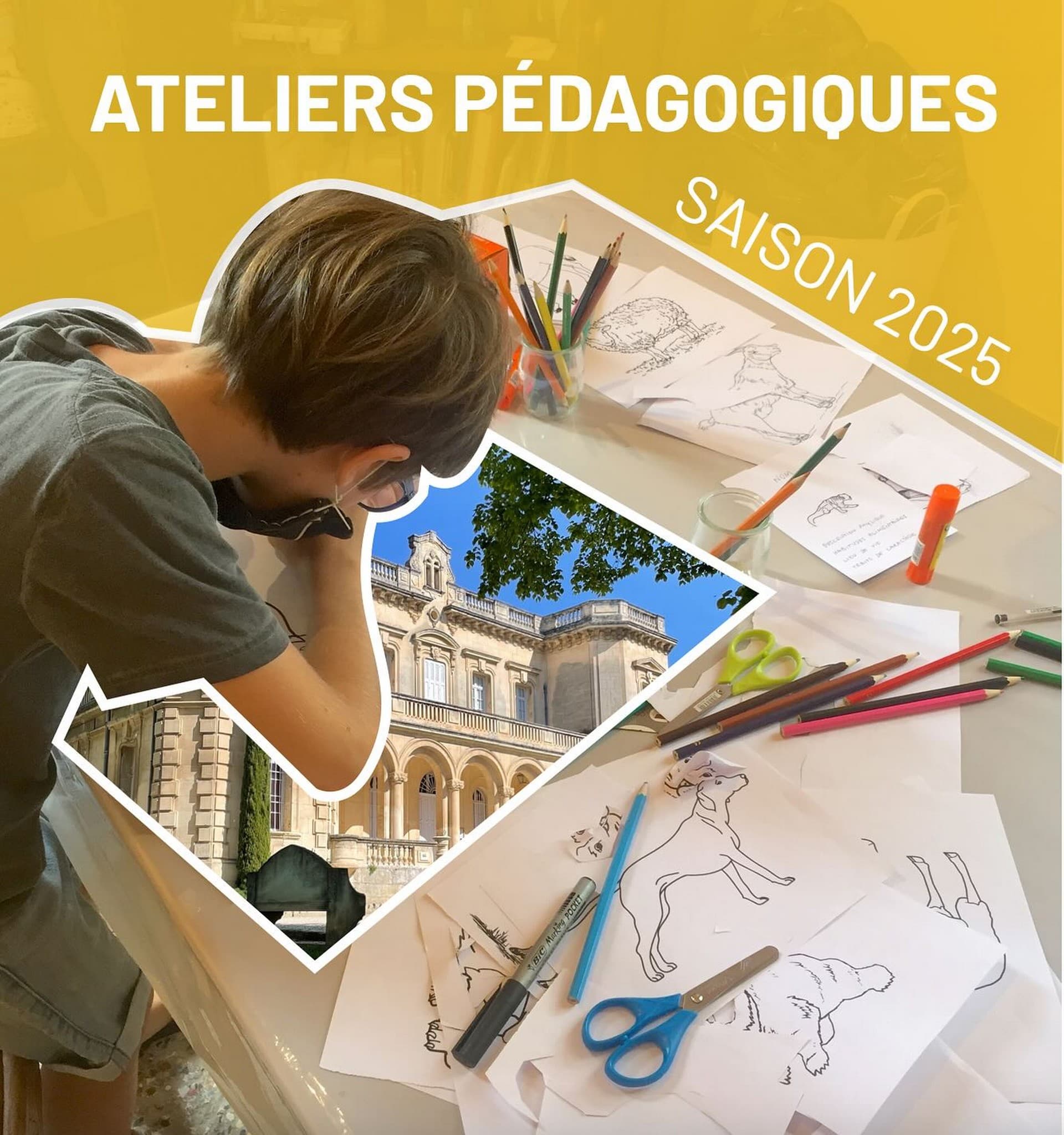 Ateliers pédagogiques au Château de Montauban_Fontvieille