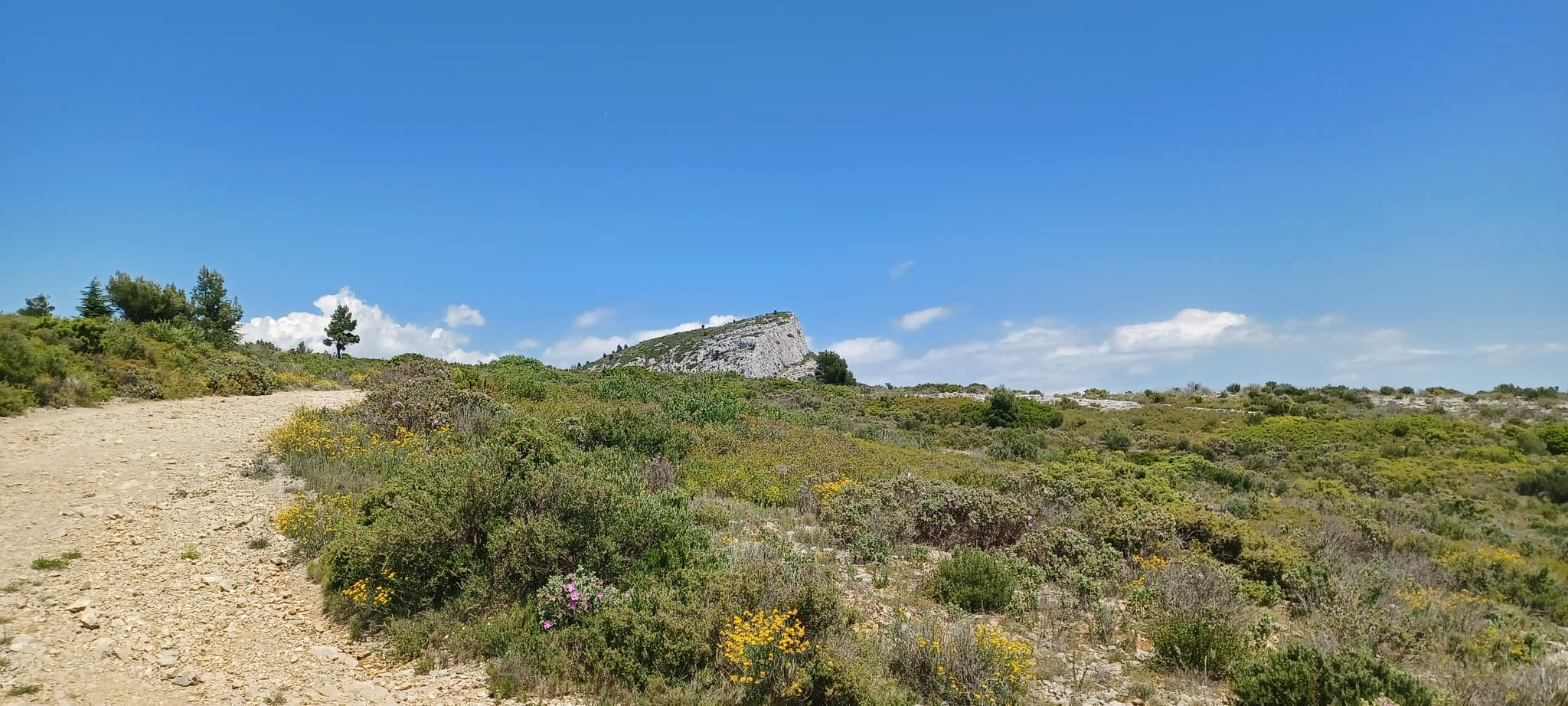 Trail sur le Garlaban
