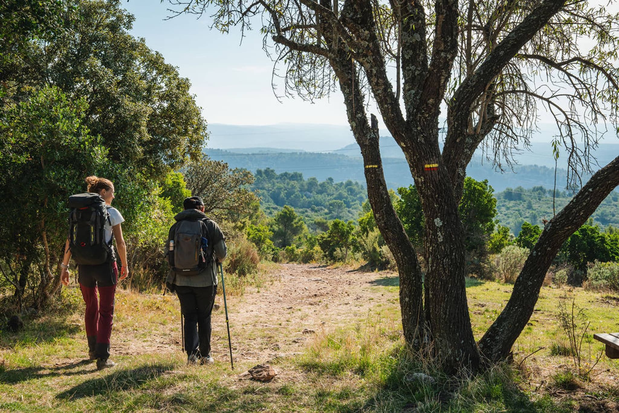 CUGES-LES-PINS - Crête de la Sainte-Baume et Grand Vallon