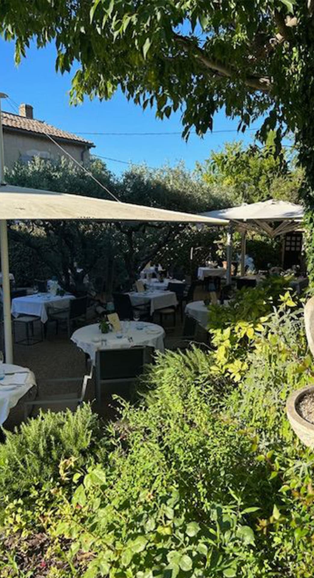 La Table d'Yvan_Saint-Rémy-de-Provence