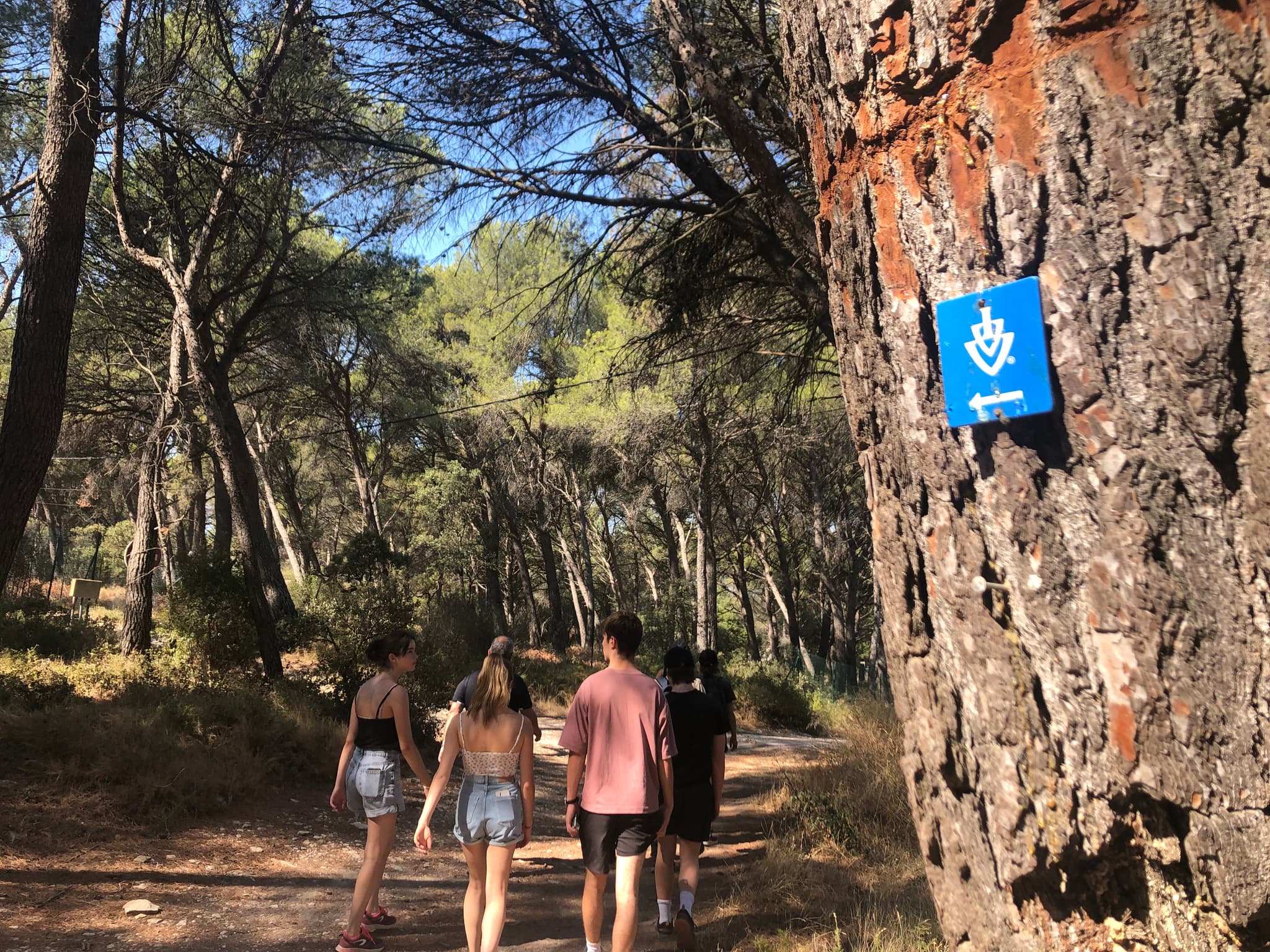 Le chemin de la Font d'Arles_Lambesc