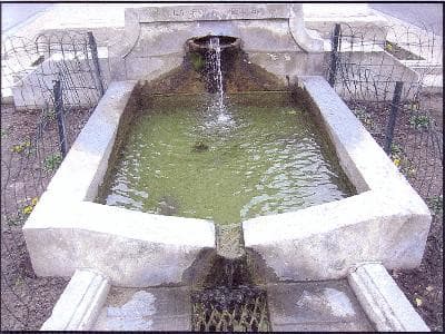 13T2001611_1_WEB.jpg