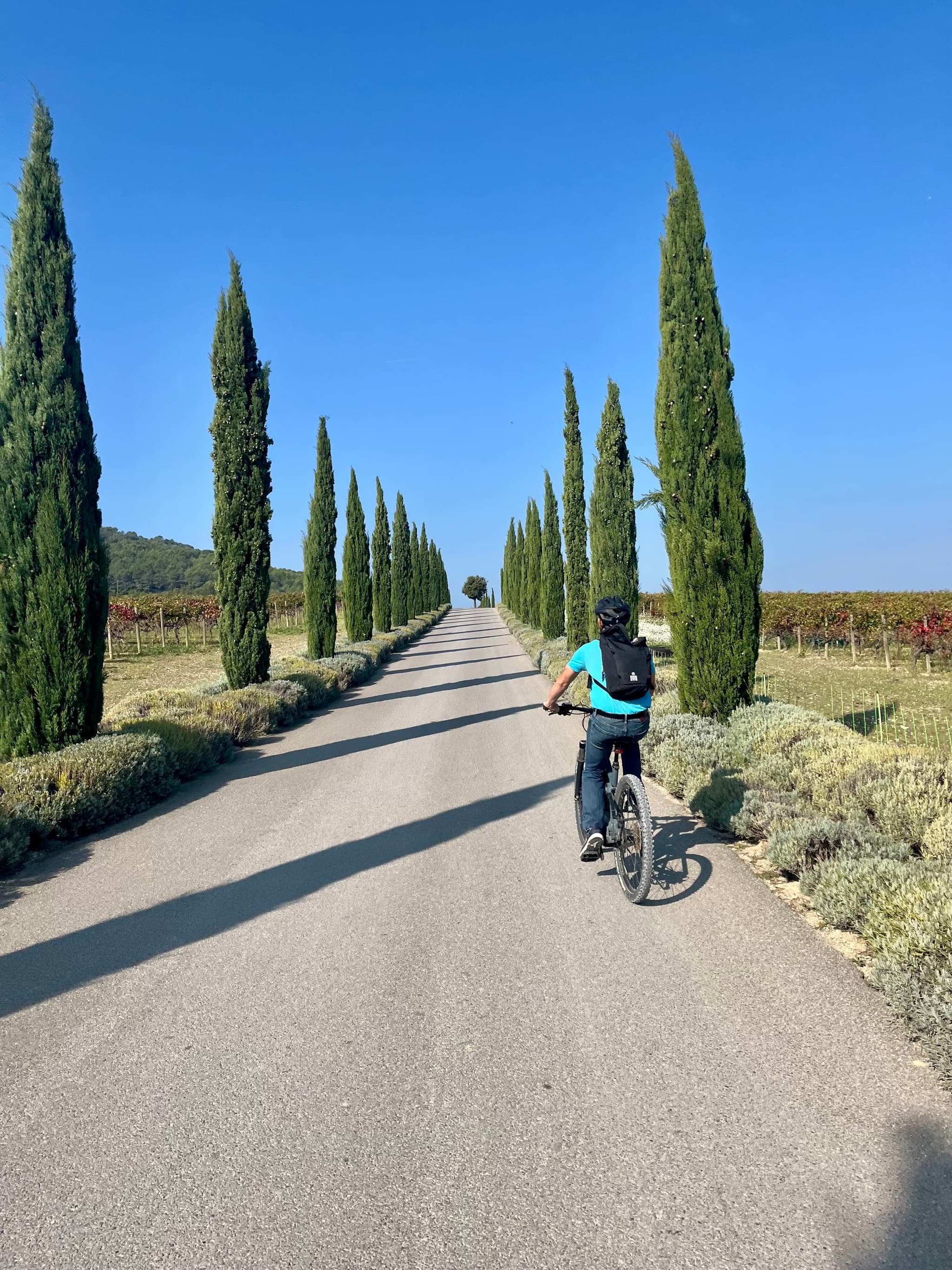 Ride in Provence