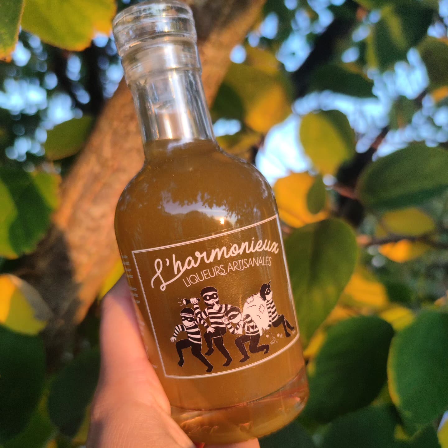 Bouteille de liqueurs