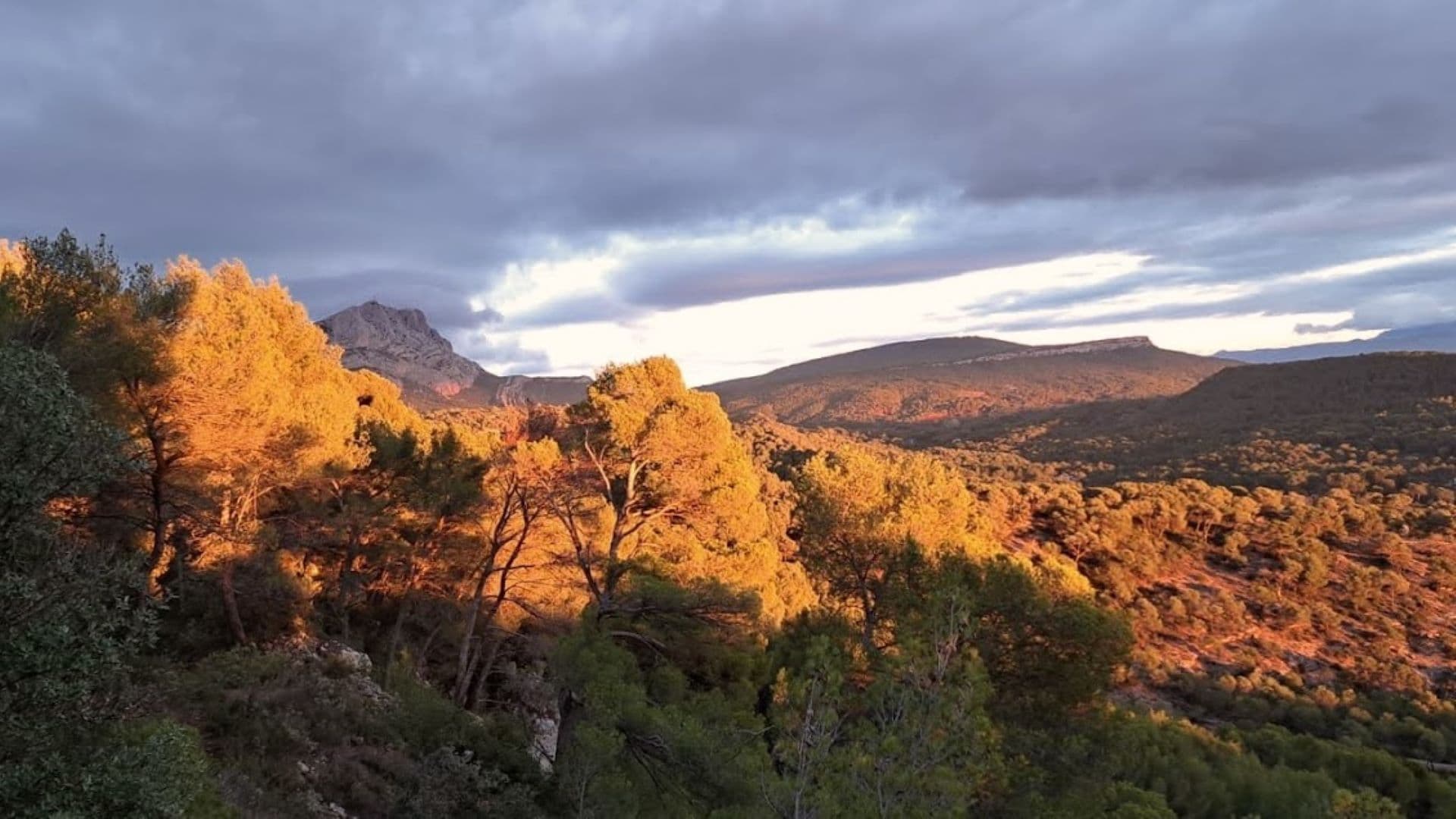 Un matin avec Cezanne à Bibémus_Aix-en-Provence