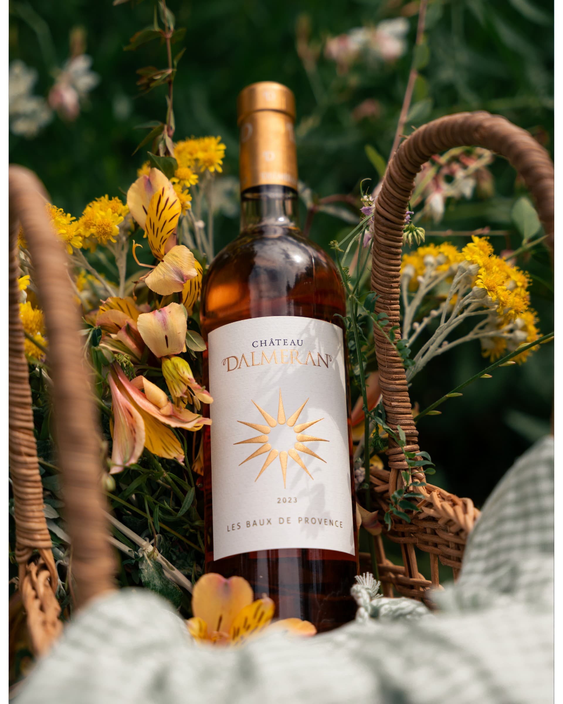 Domaine Dalmeran_Saint-Étienne-du-Grès