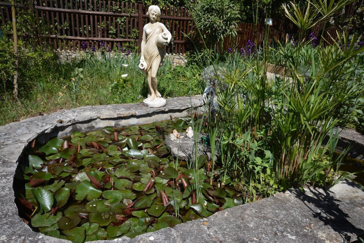 Les Oiseaux