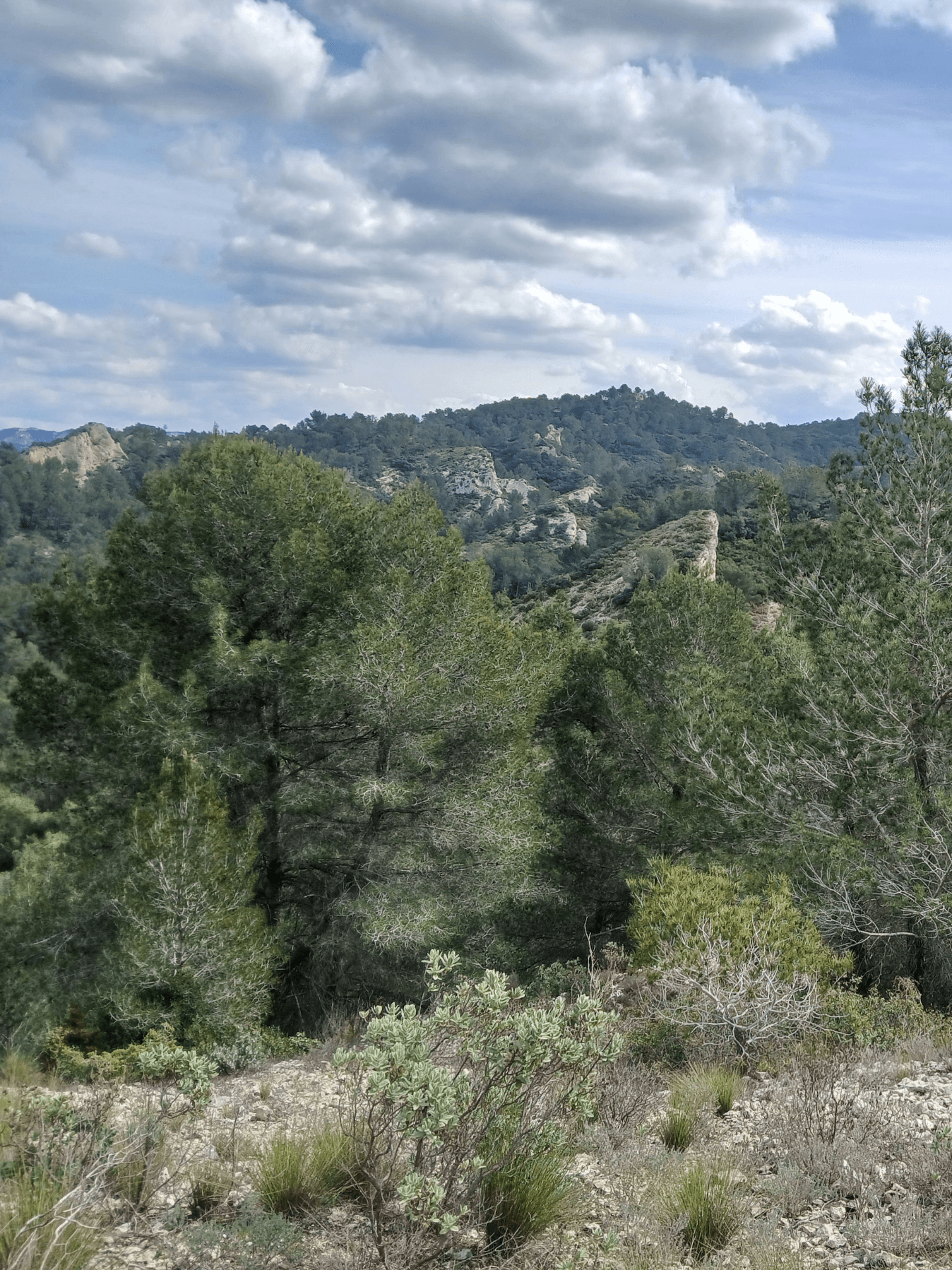 La Lèque_Saint-Rémy-de-Provence