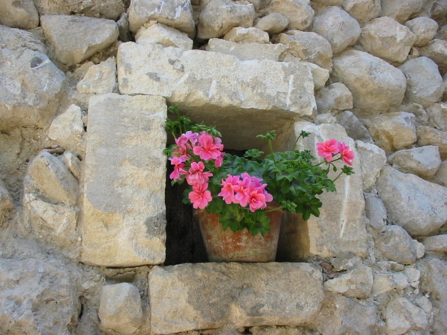 Le Mas Saint Roman - La pichoulino