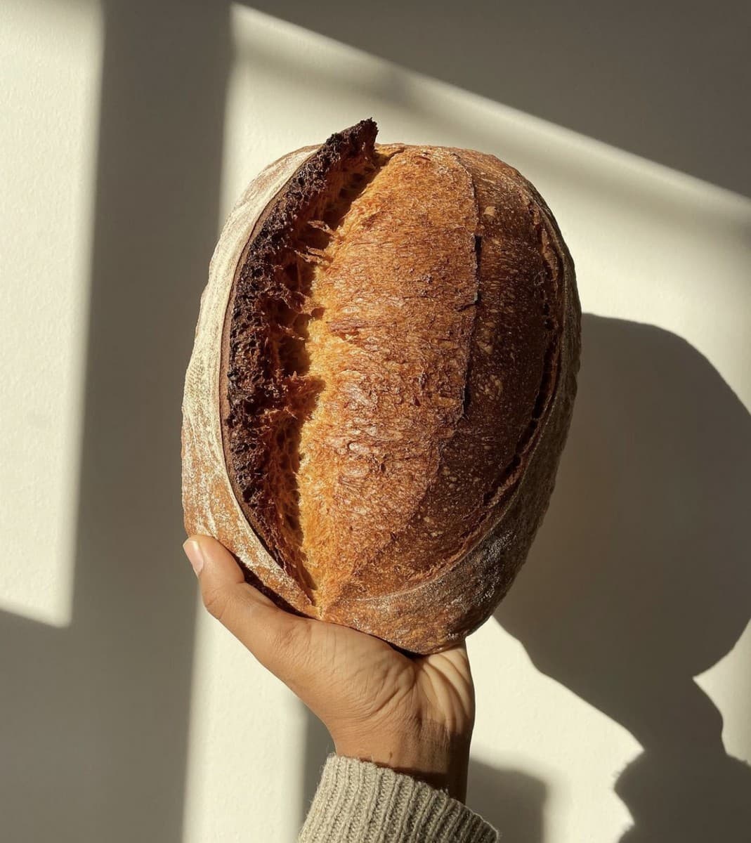 Terre et blé pain