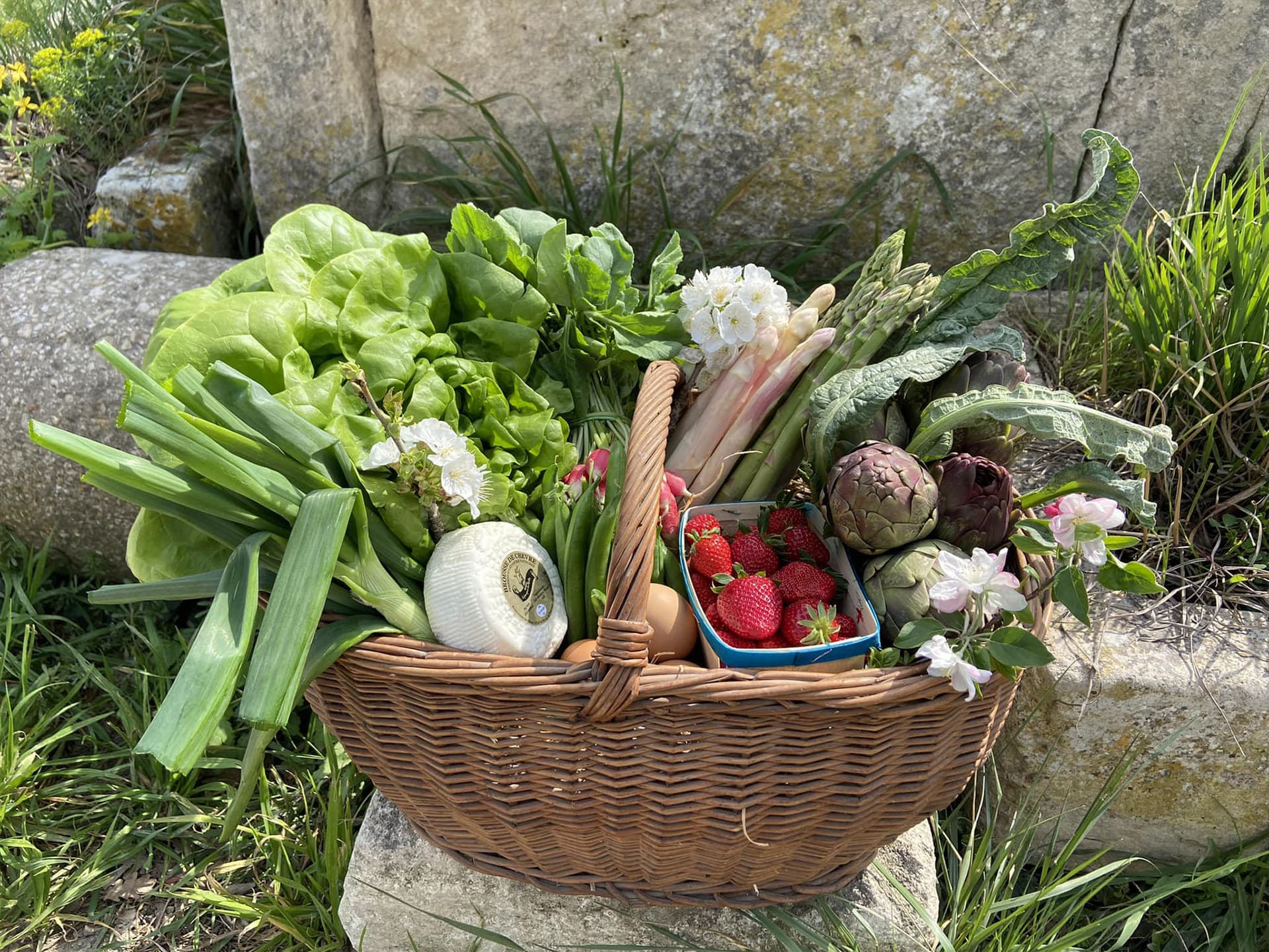 La petite ferme pédagogique de Saint-Rémy - Producteur_Saint-Rémy-de-Provence