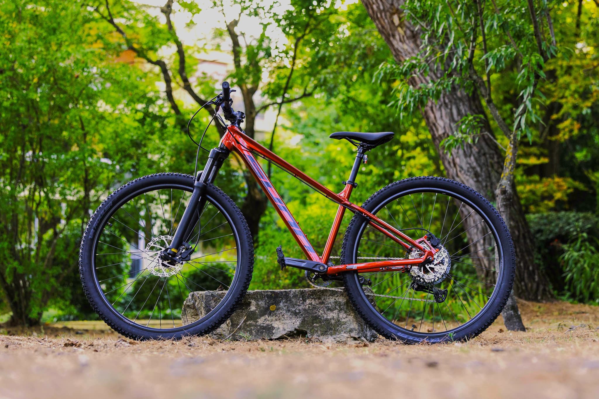 Vélo tout terrain musculaire