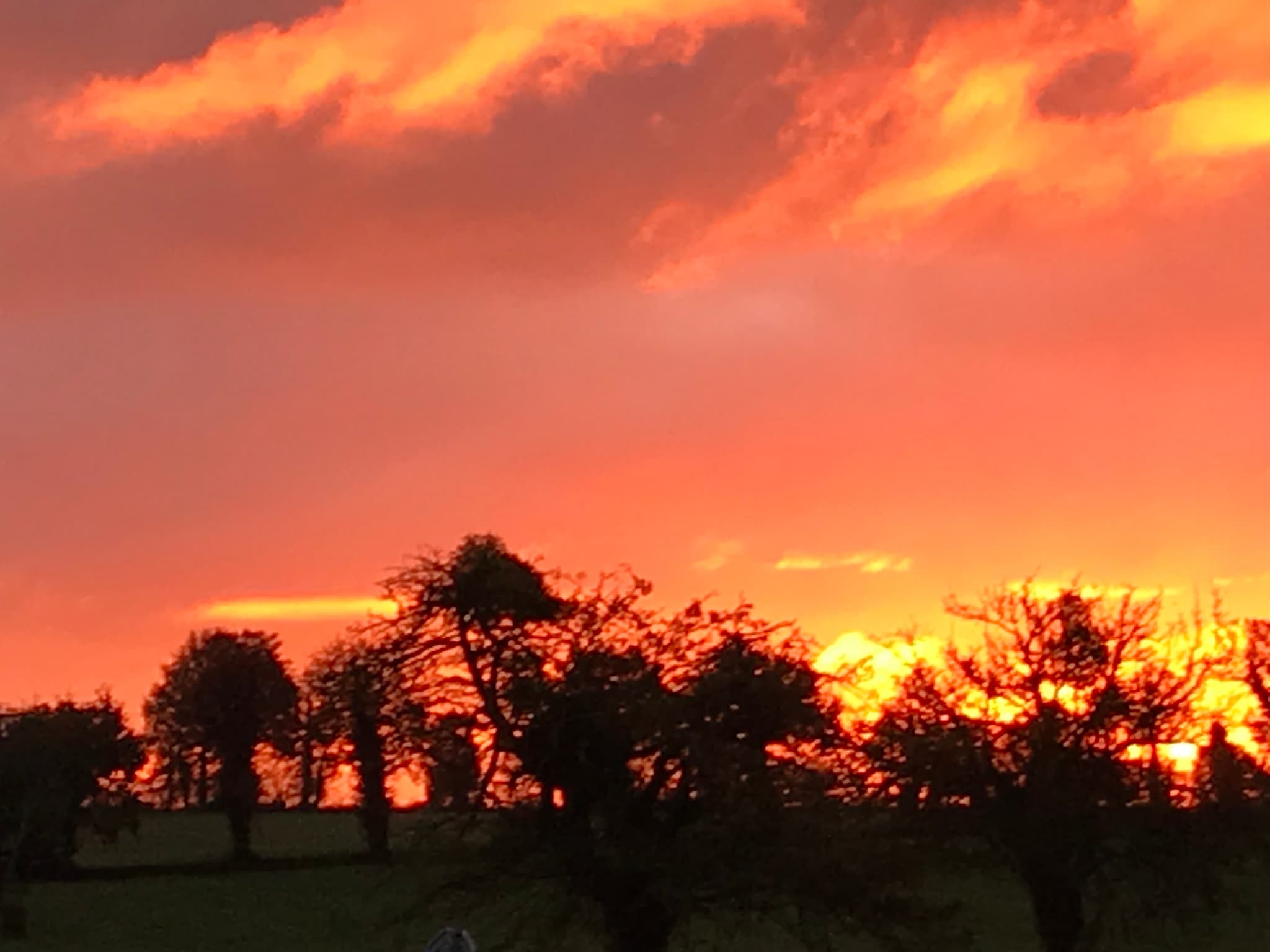 Coucher de soleil dans le parc attenant