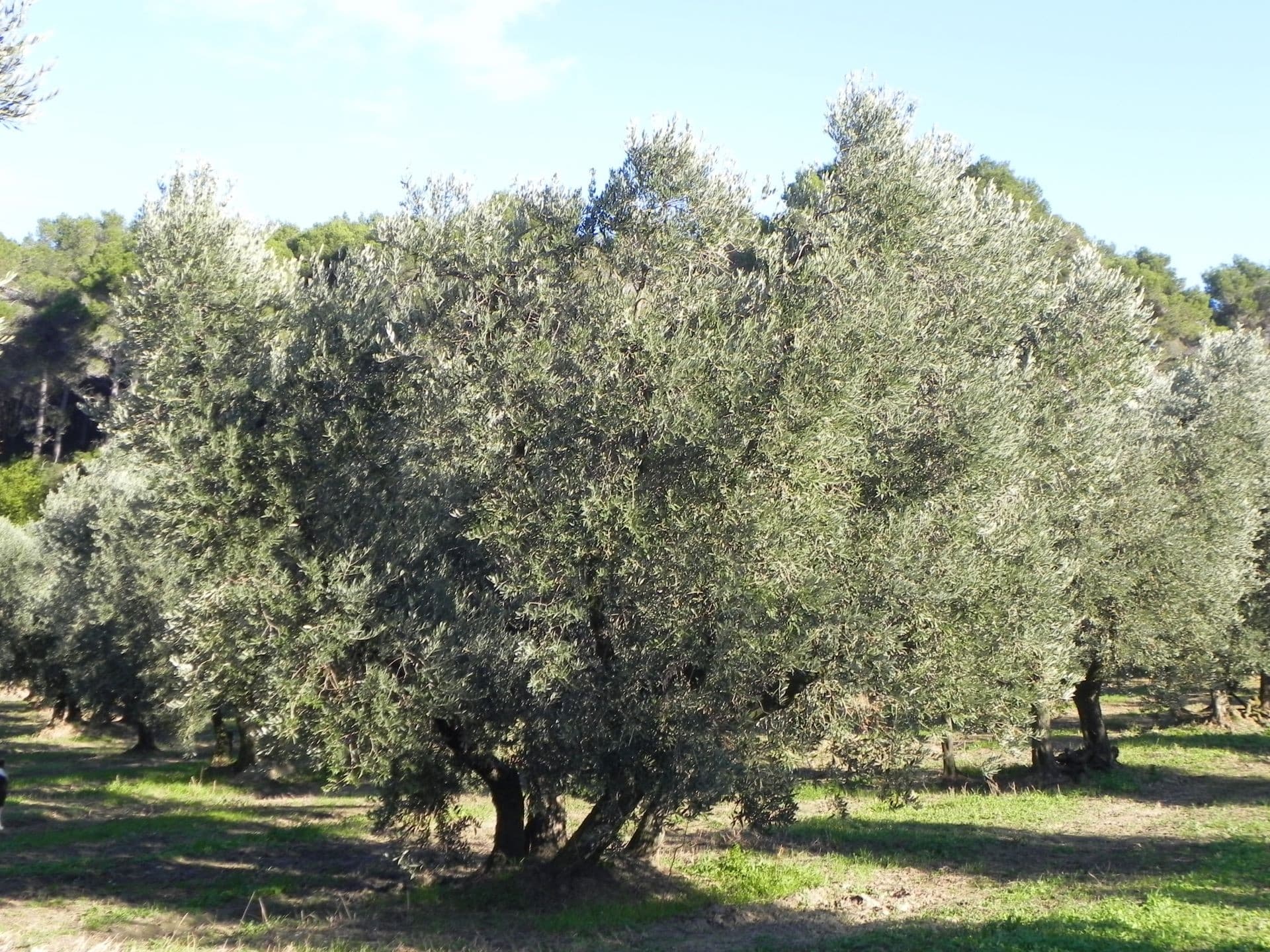 13T4004641_5_HD.jpg