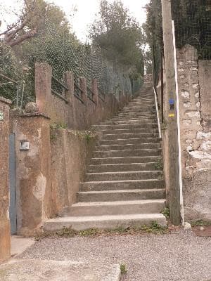 13VIS001068_3_WEB.jpg
