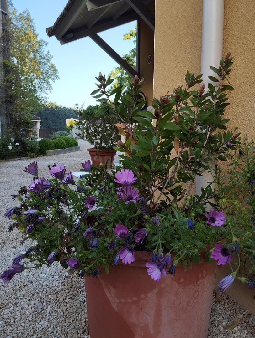 Gîte du Grand Mas