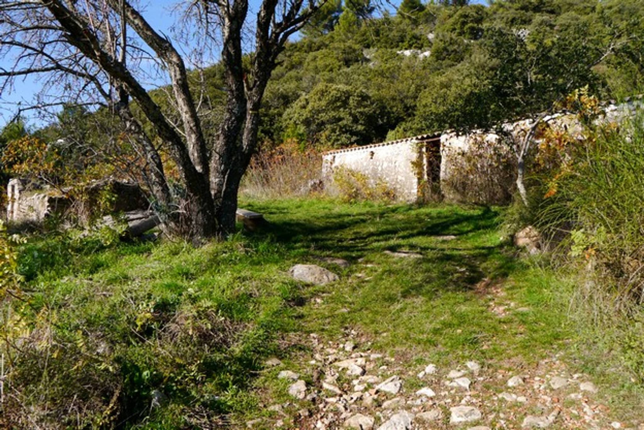CUGES-LES-PINS - Crête de la Sainte-Baume et Grand Vallon