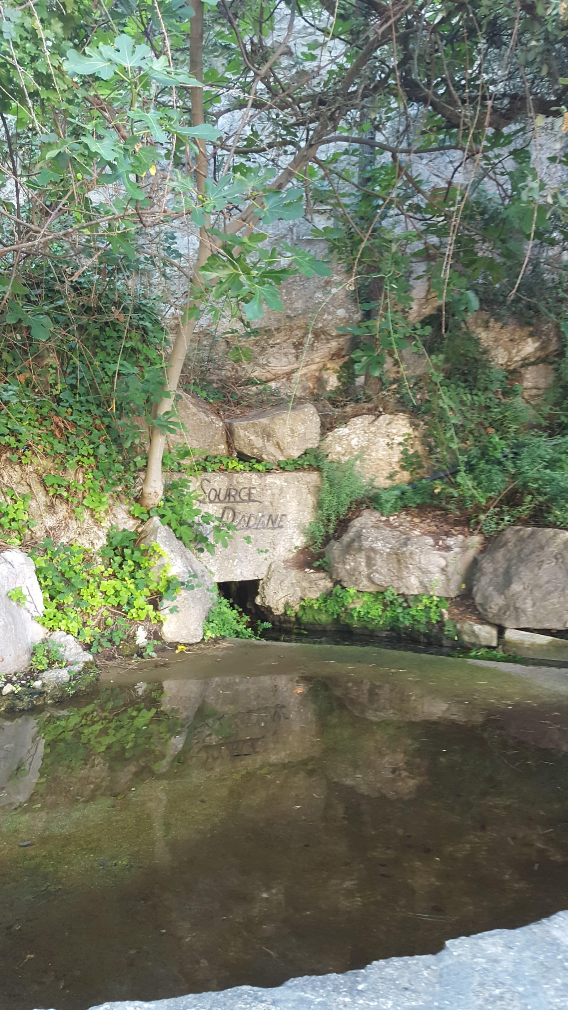 Source d'Adane, La Barben