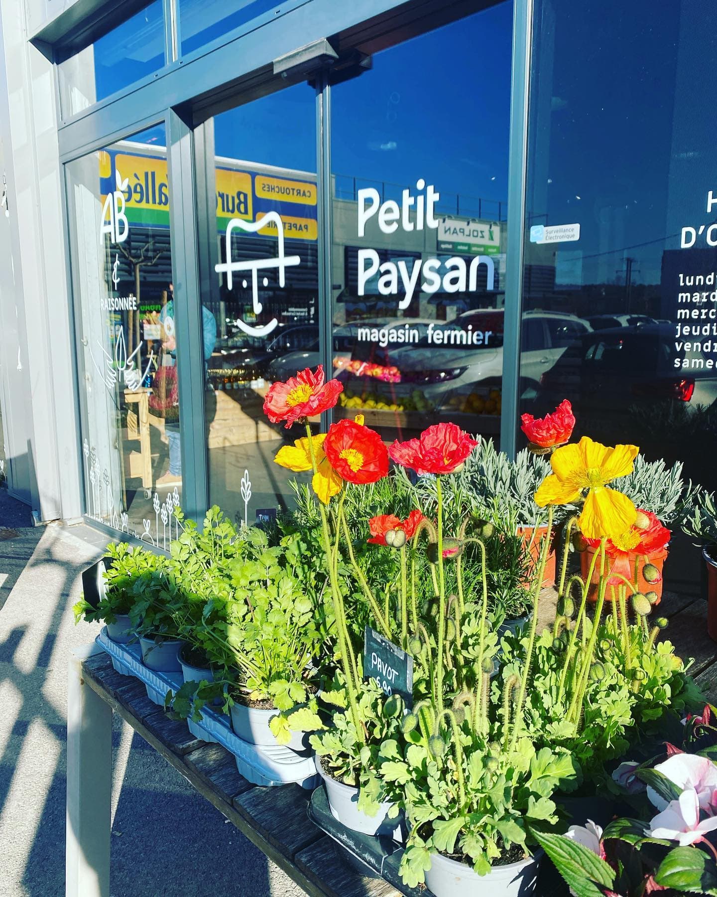 Petit Paysan