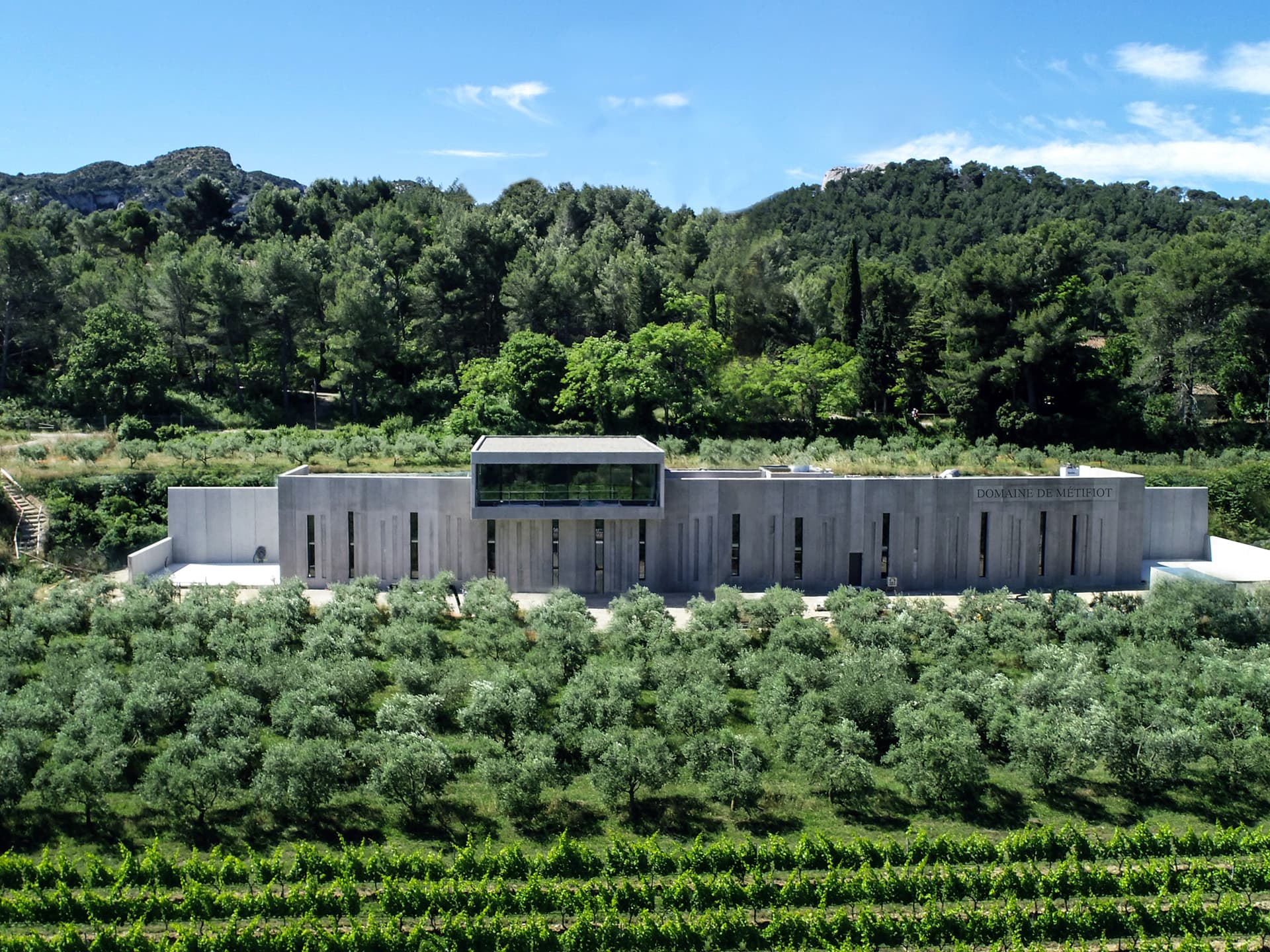 Les Musicales dans les vignes - Hommage en jazz à Stevie Wonder au Domaine De Métifiot._Saint-Rémy-de-Provence