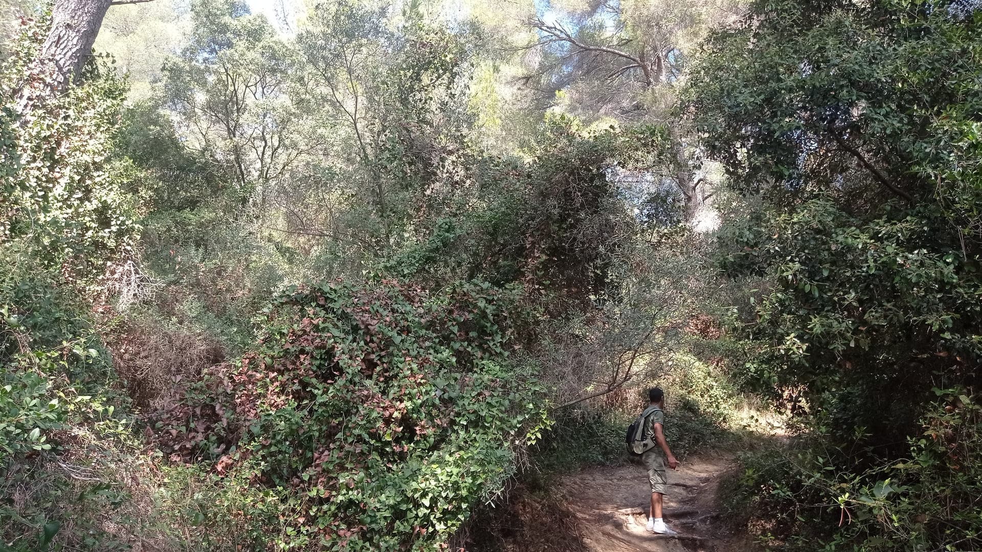 Les parcours du Grand Parc de Figuerolles_Martigues