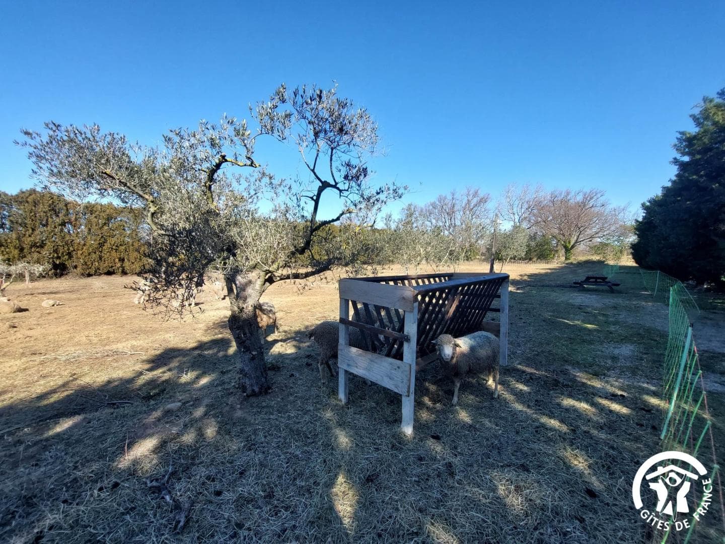 Mas Petite Provence - Lou Pastre