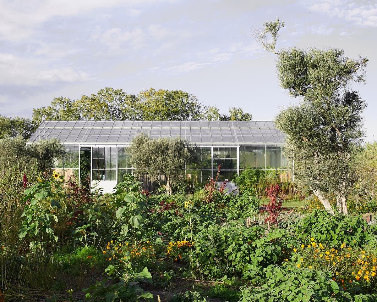 Potager biologique de La Chassagnette
