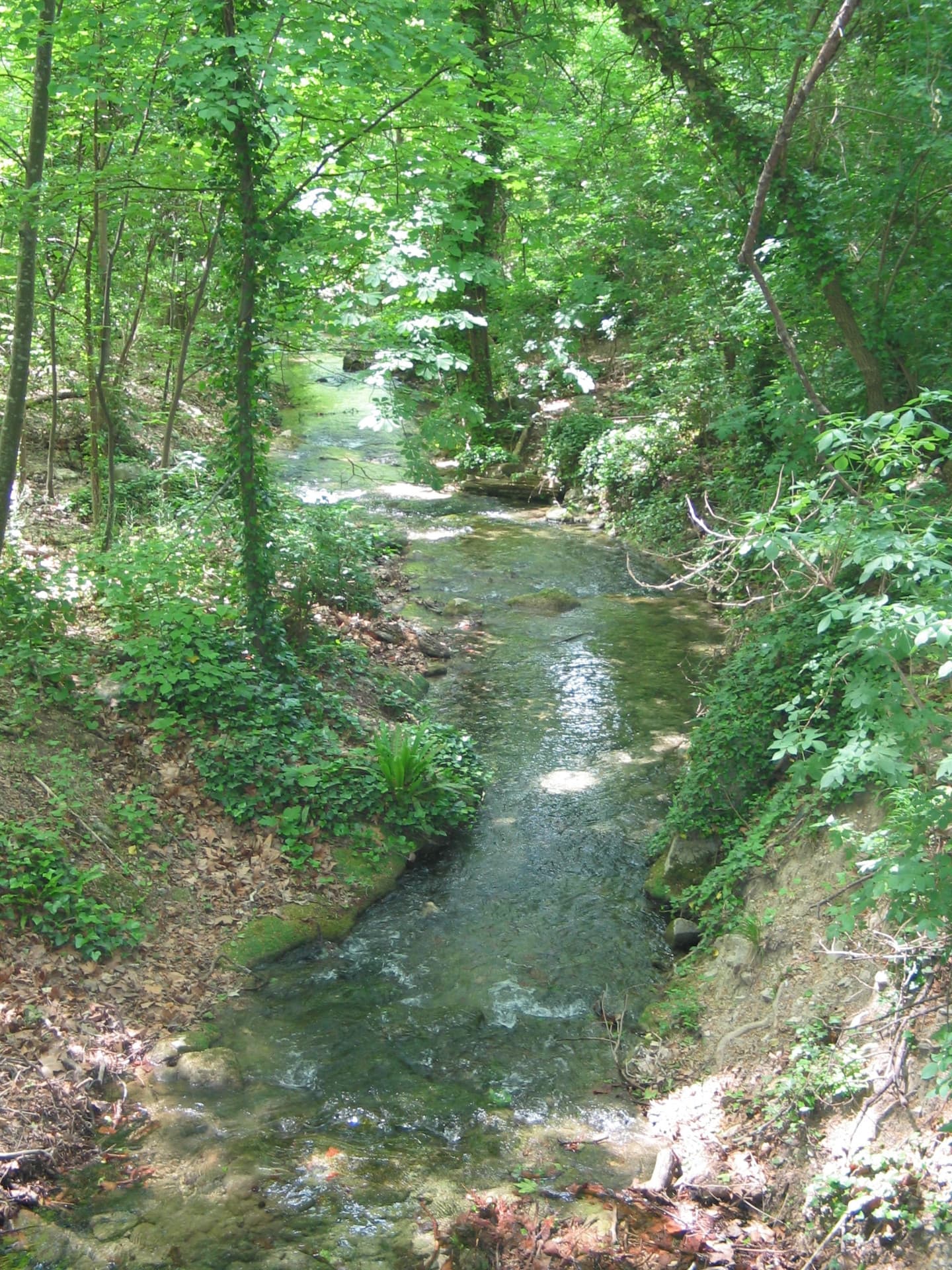 13SNA000003_3_HD.jpg