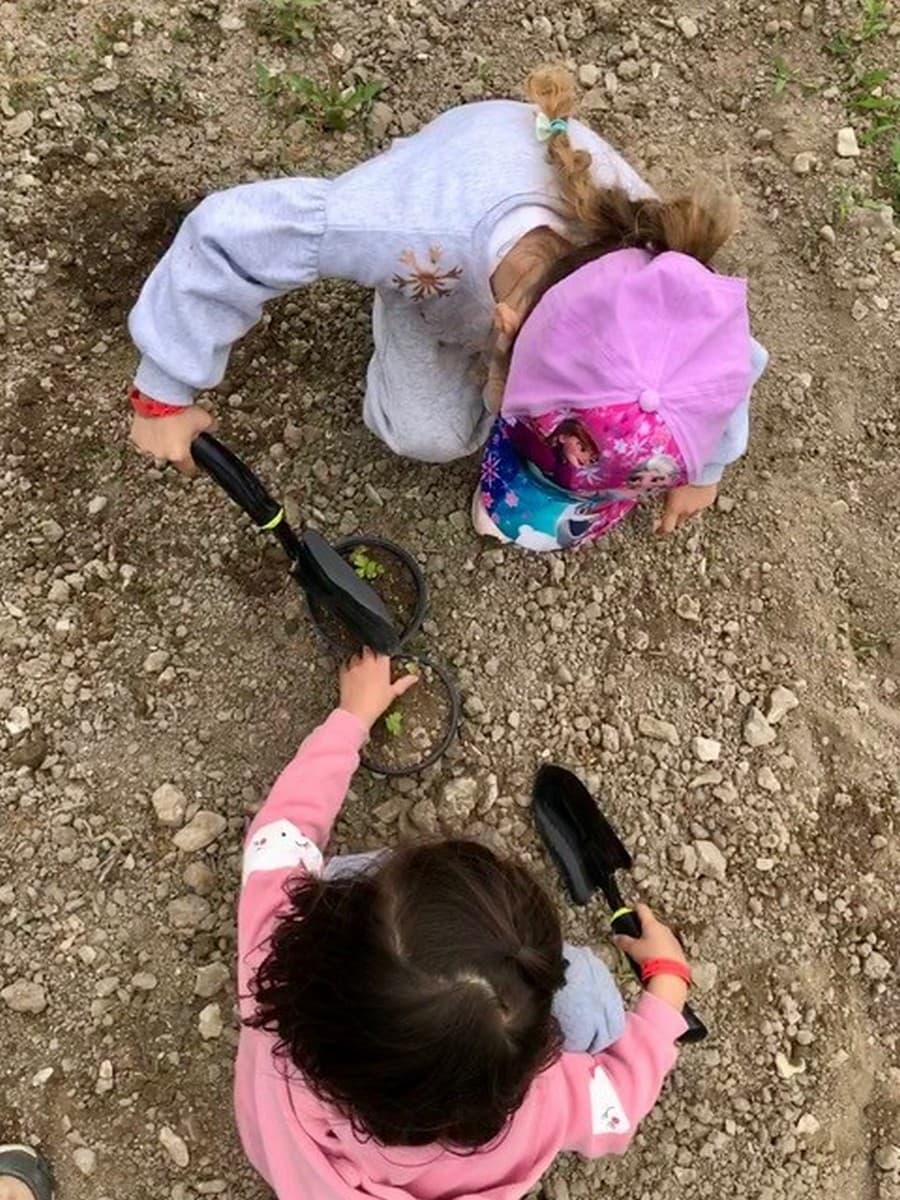La Petite Ferme Pédagogique activités enfants