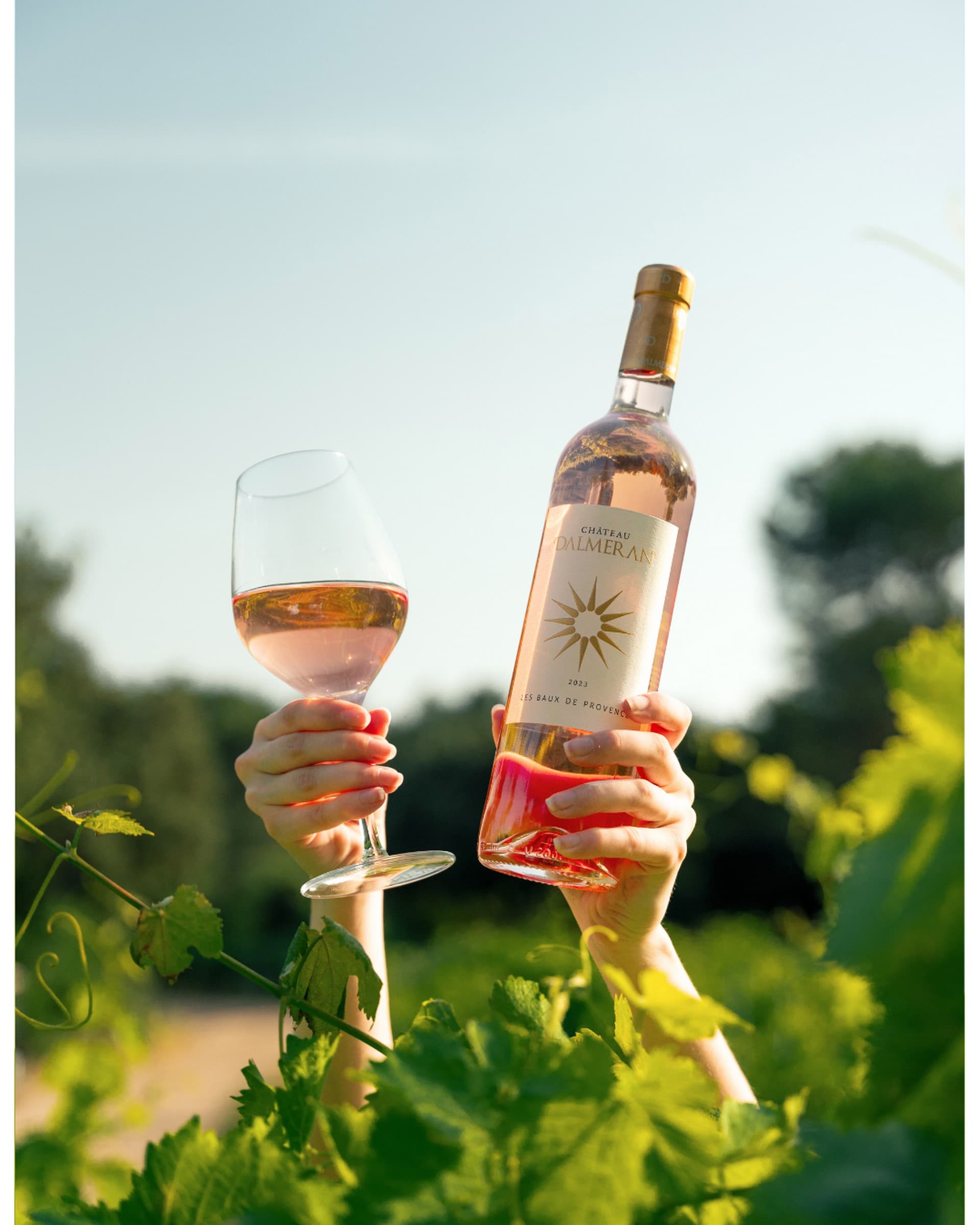 Domaine Dalmeran_Saint-Étienne-du-Grès
