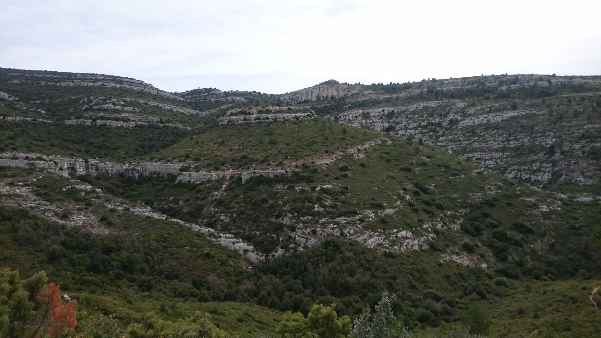 Domaine de Pichauris