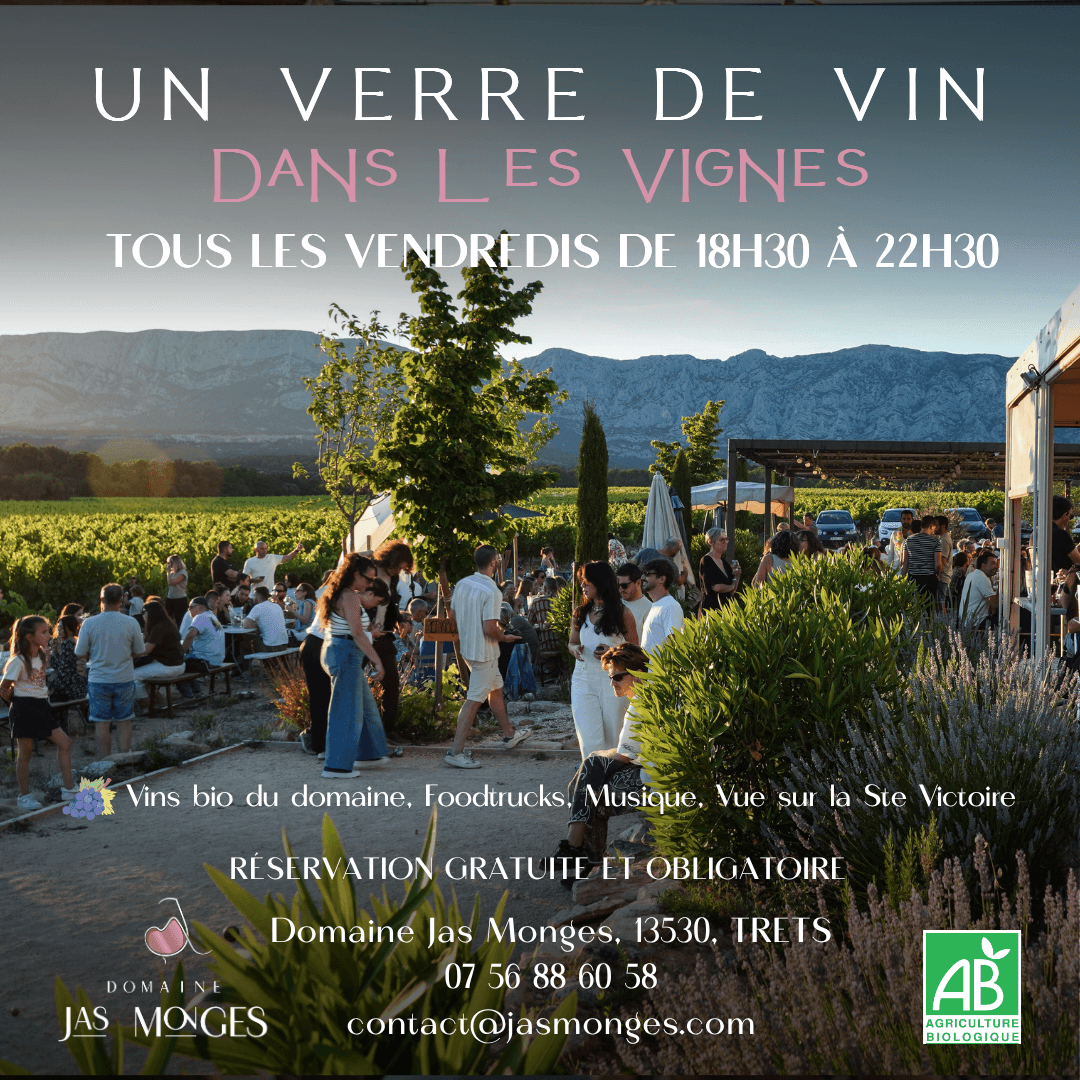 Un verre de vin dans les vignes