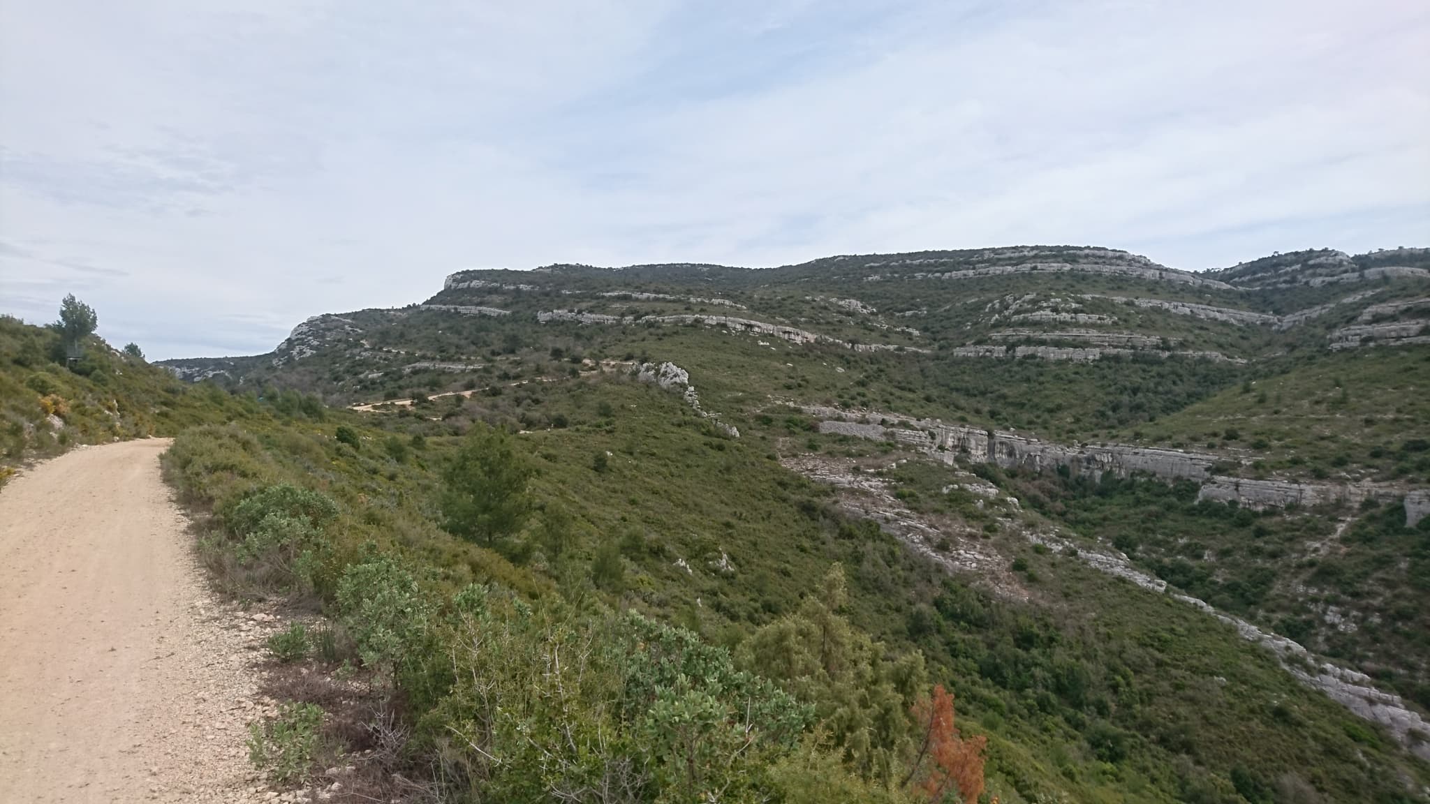 Domaine de Pichauris