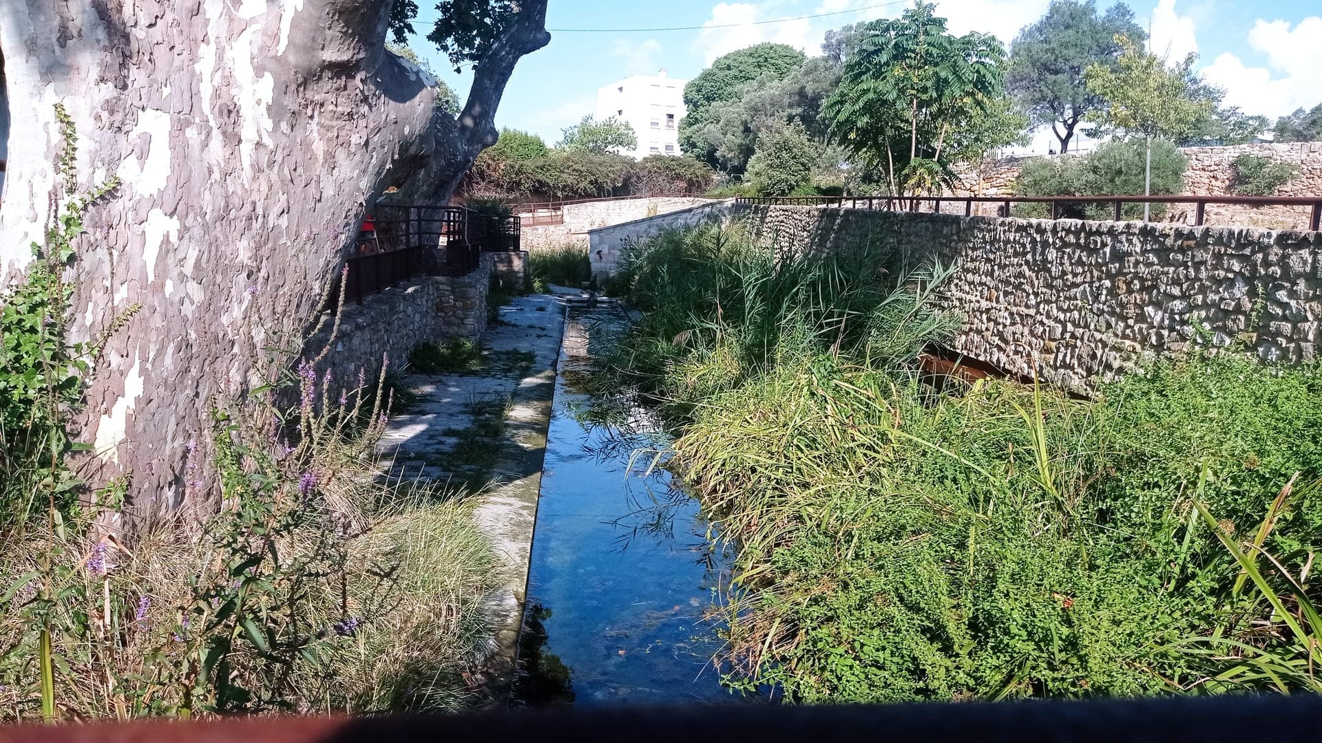 Site archéologique de Tholon_Martigues