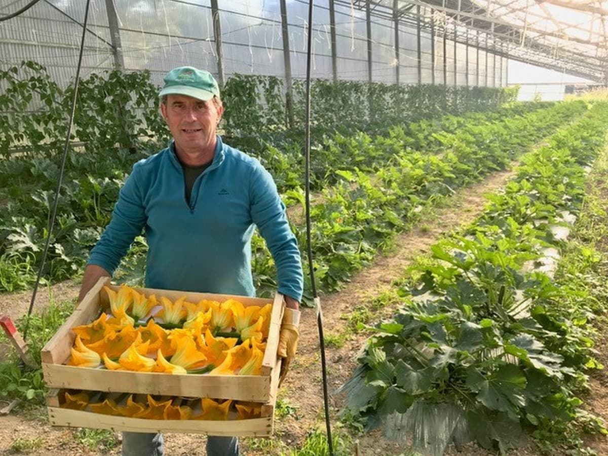 La Petite Ferme Pédagogique directeur