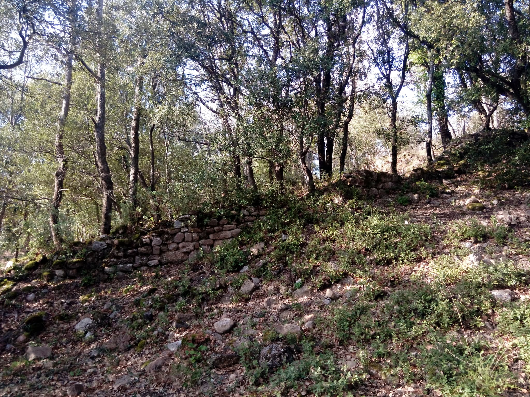 Randonnée "Le Castrum Saint-Michel"