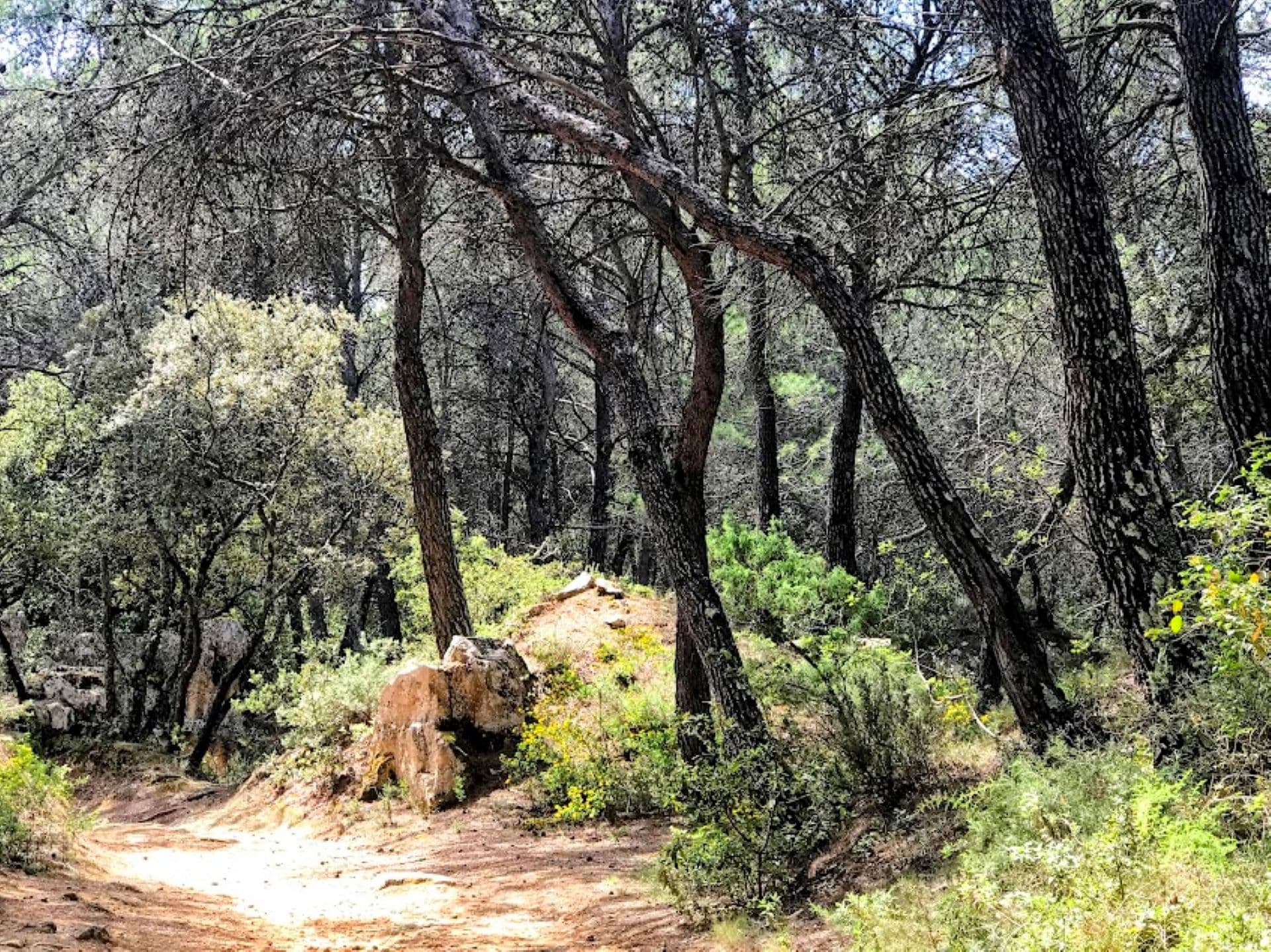 Un matin avec Cezanne à Bibémus_Aix-en-Provence