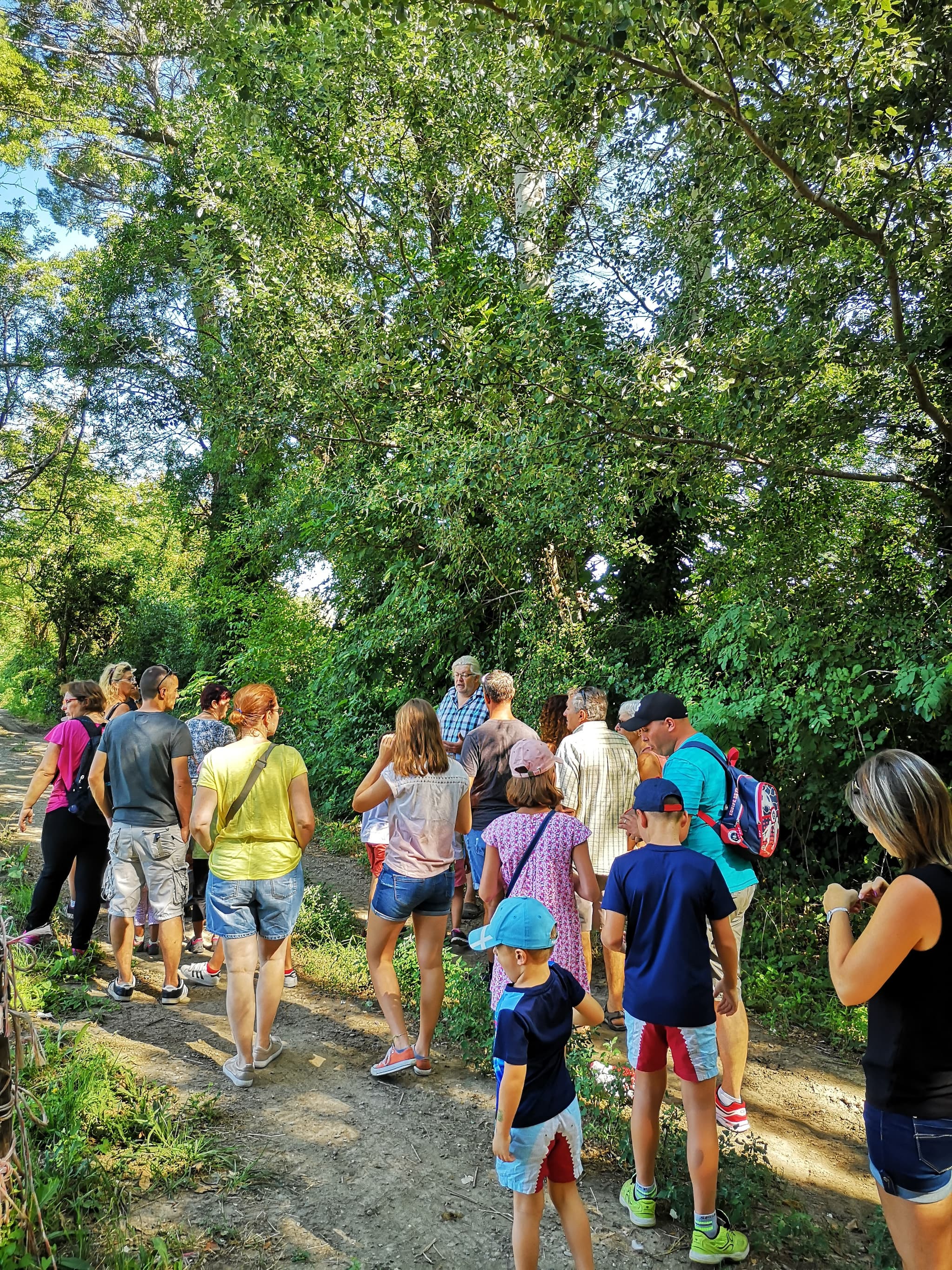 Visite de la bambouseraie de Sulauze & Découverte du foin de Crau