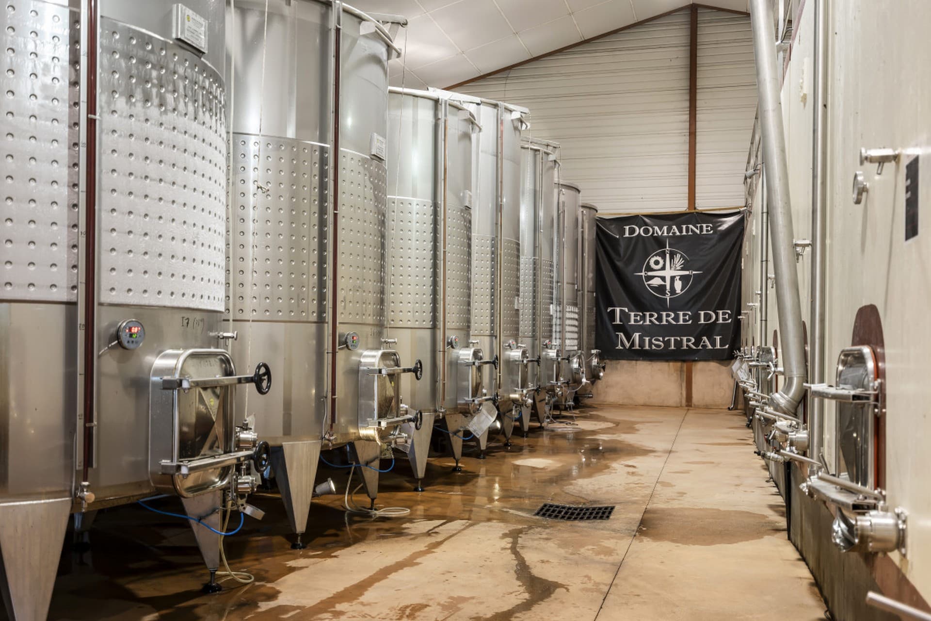 Visit of the vineyards of Terre de Mistral followed by a tasting session_Rousset
